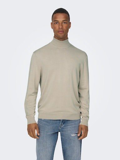 ONLY & SONS Coltrui ONSWYLER LIFE REG ROLL NECK KNIT NOOS