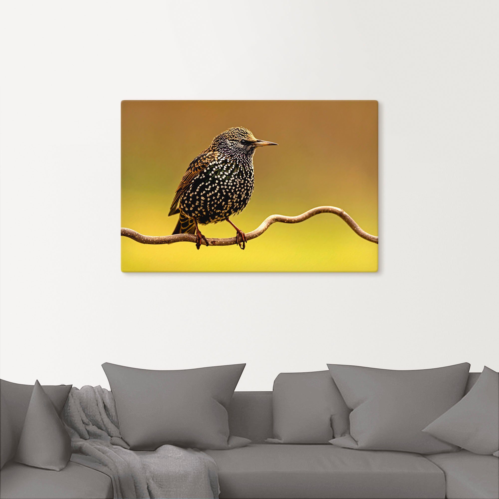 Artland Artprint Star als artprint op linnen, poster in verschillende formaten maten