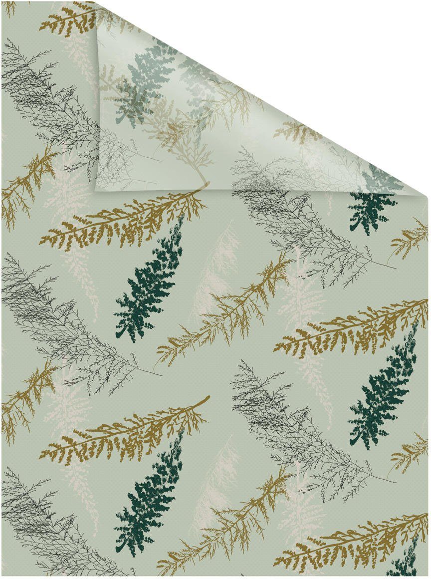 LICHTBLICK Raamfolie zelfklevend, bescherming tegen inkijk, Fir Branches - groen (1 stuk)