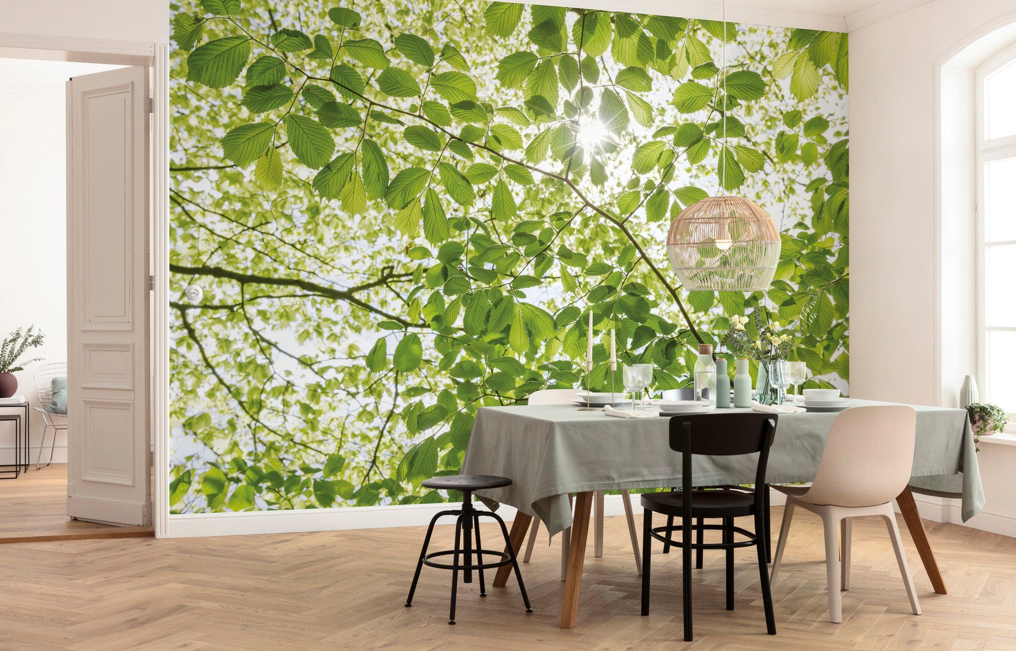 Komar Vliesbehang Digitale print vlies - Im Frühlingswald - Afmeting 250 x 280 cm (5 stuks)
