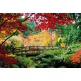 papermoon fotobehang bridge in japanese garden multicolor