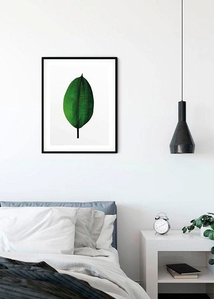 Komar Wanddecoratie Ficus Leaf Wanddecoratie - zonder lijst (1 stuk)
