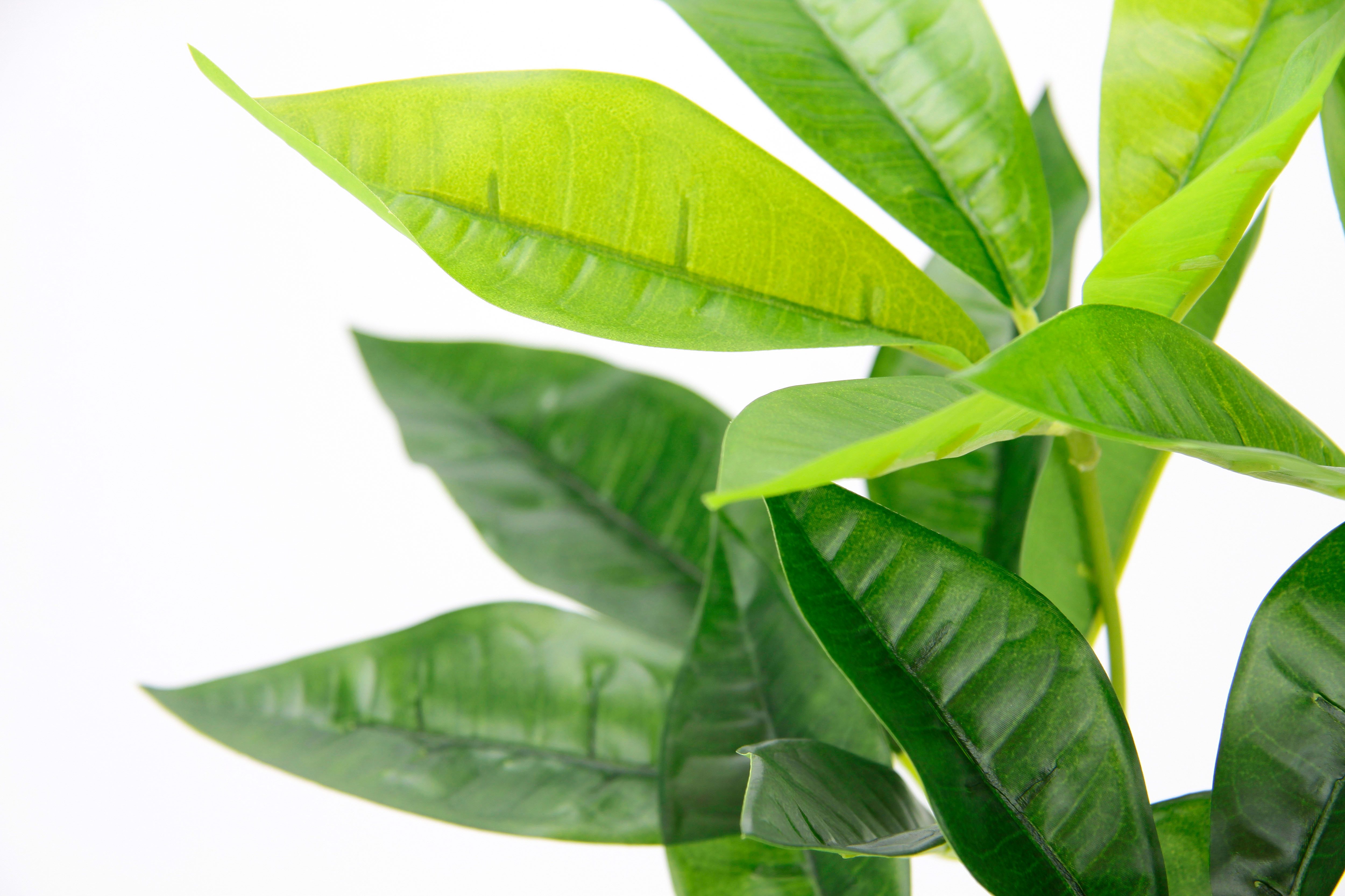 I.GE.A. Kunstplant Schefflera Met overpot kunstmatige zijdebloemen