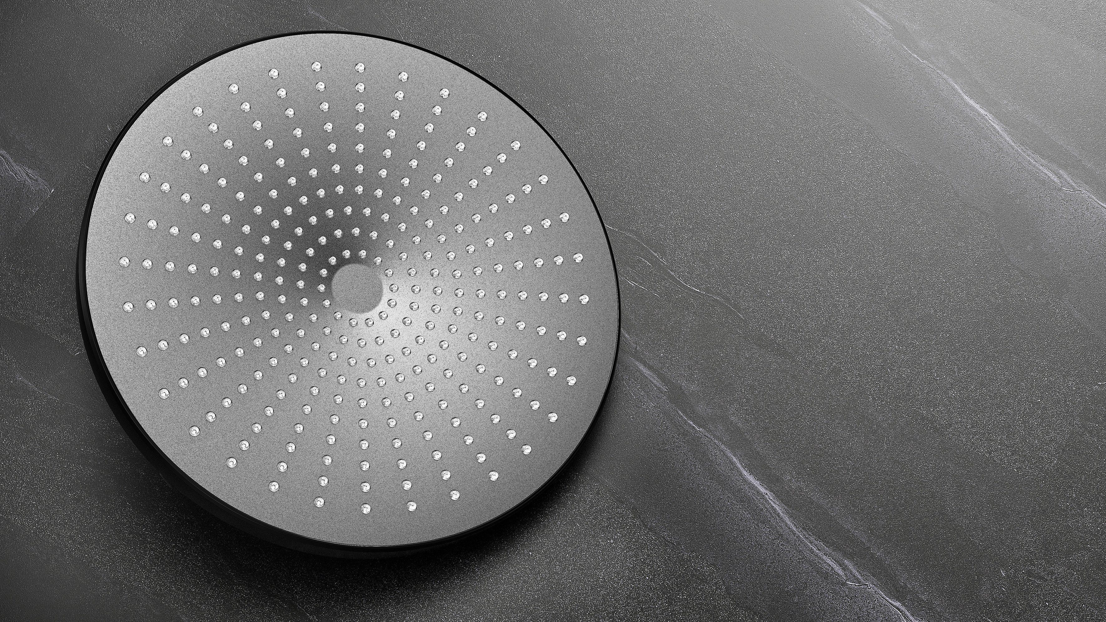 WENKO Regendouchekop Ultimate Shower Zwart/grijs, Ø 25 cm (1-delig)