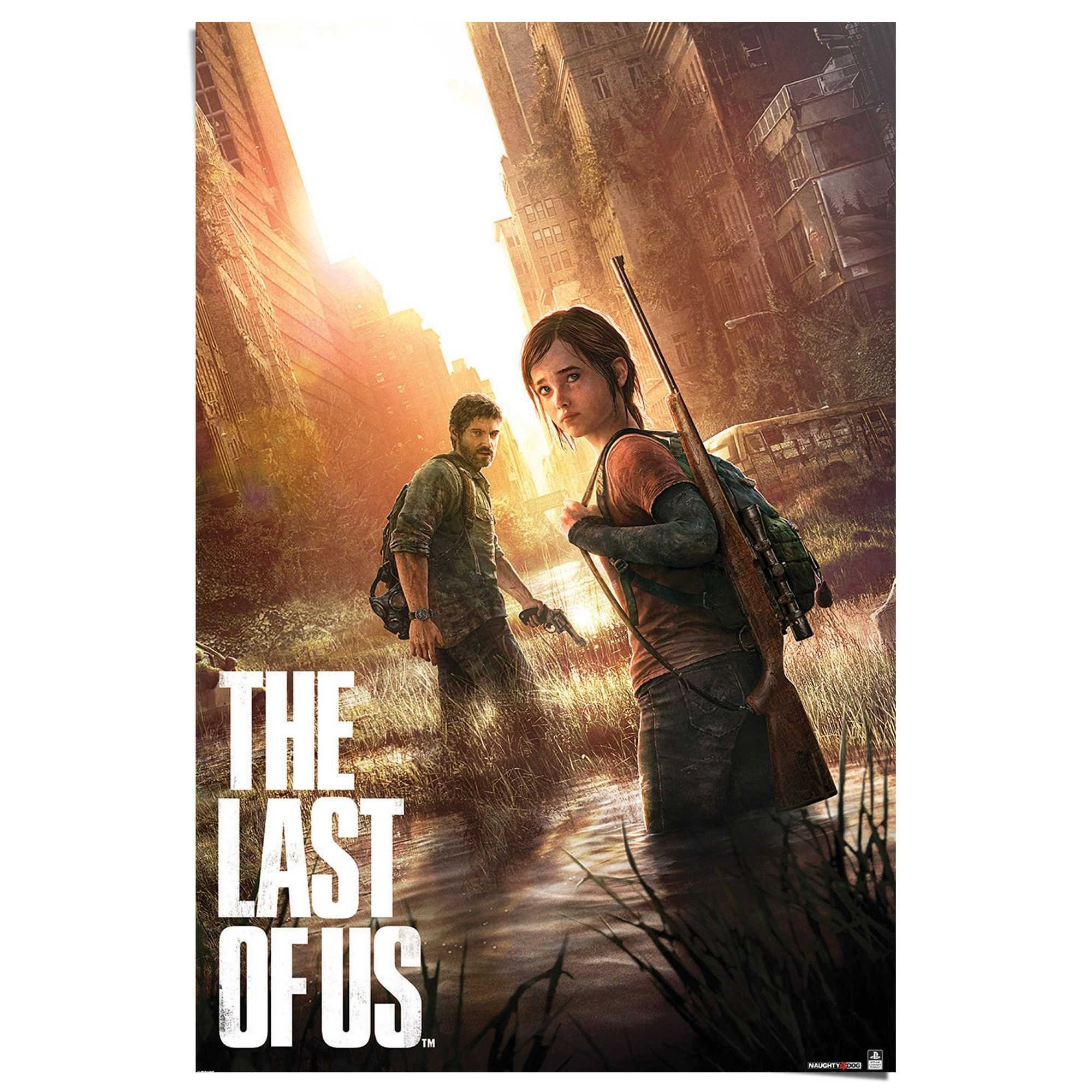 Reinders! Poster Playstation the last of us