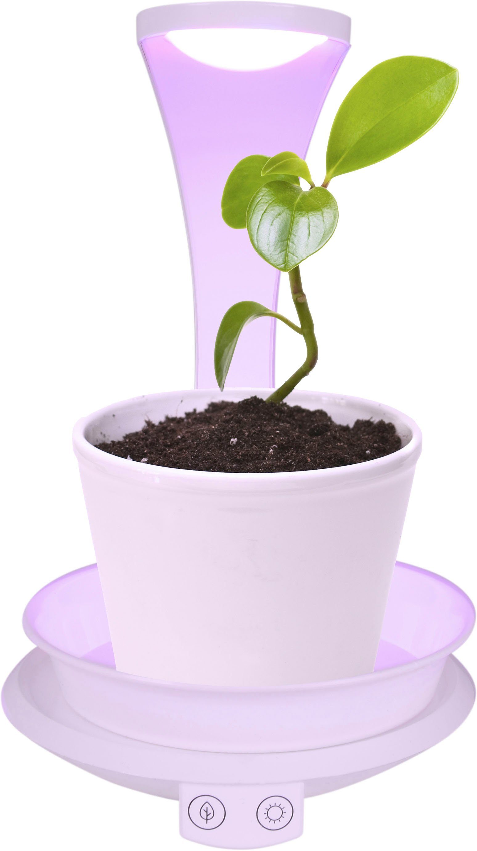 näve Led-tafellamp Grow Light Groeilamp, plantenlicht (paars) en neutraal wit, USB-kabel (1 stuk)