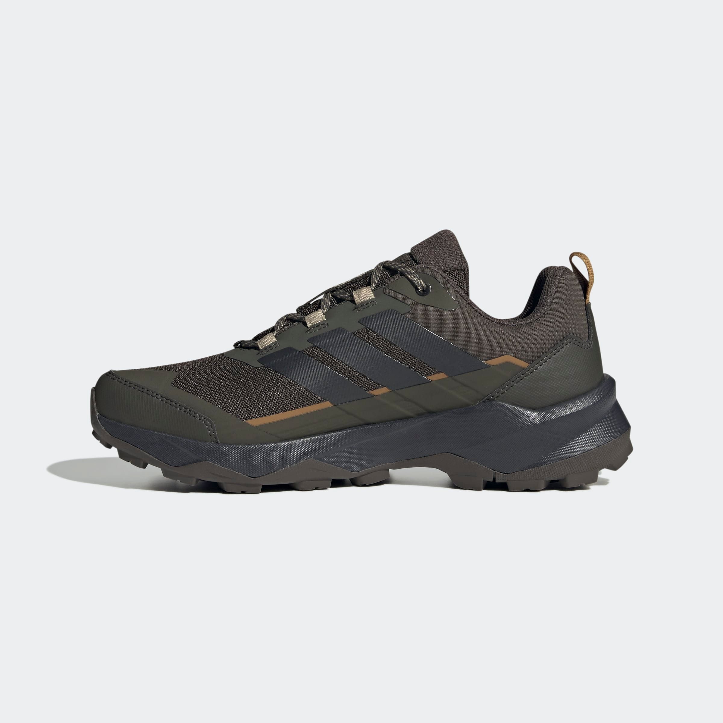 adidas TERREX Wandelschoenen TERREX SKYCHASER AX5 E
