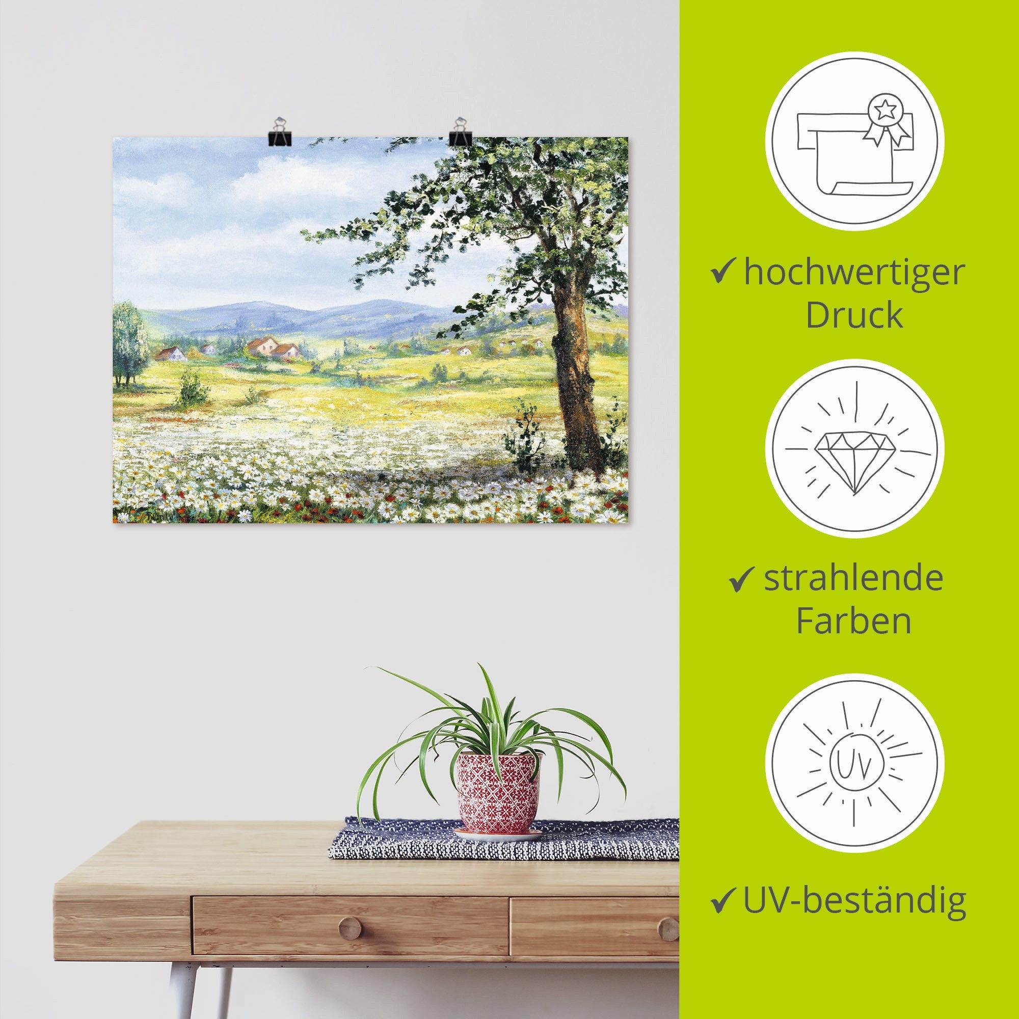 Artland Artprint Margrietenveld als poster, muursticker in verschillende maten