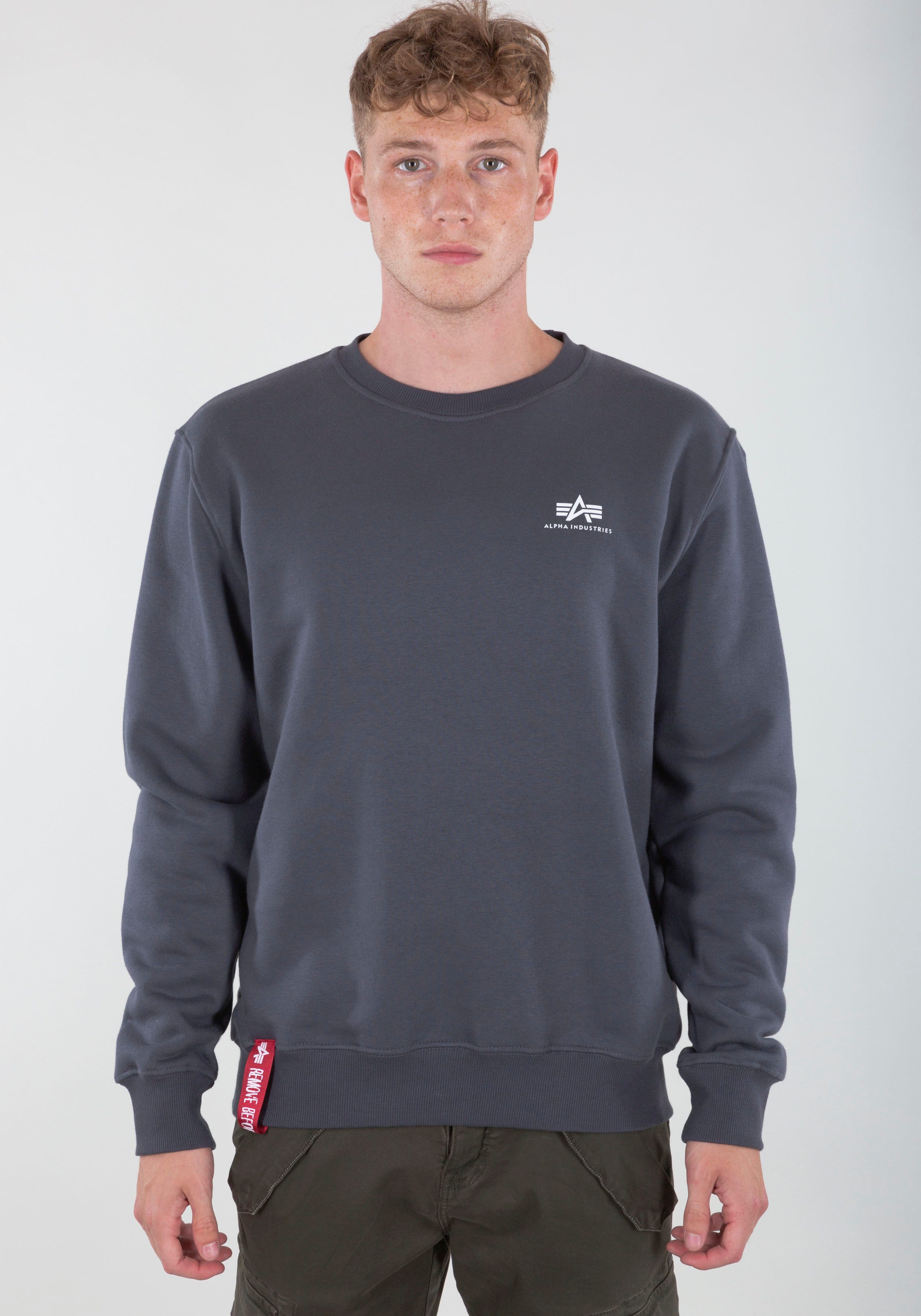 Alpha Industries Sweater Alpha Industries Men Sweats & Hoodys Basic Sweater Small Logo