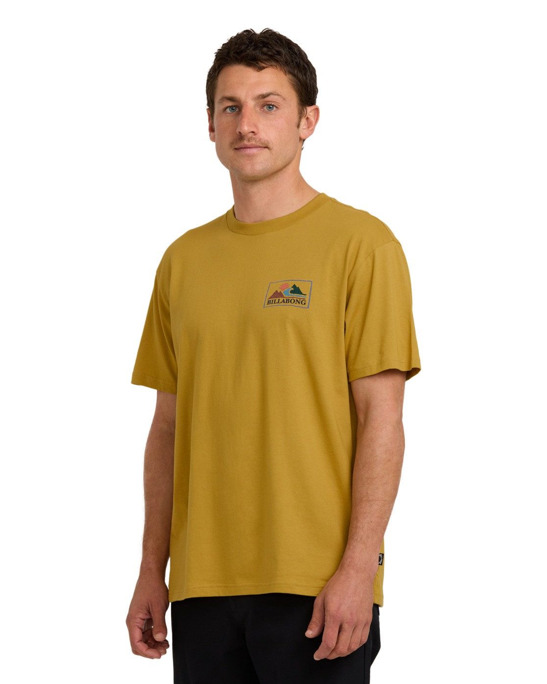 Billabong T-shirt Range A/DIV