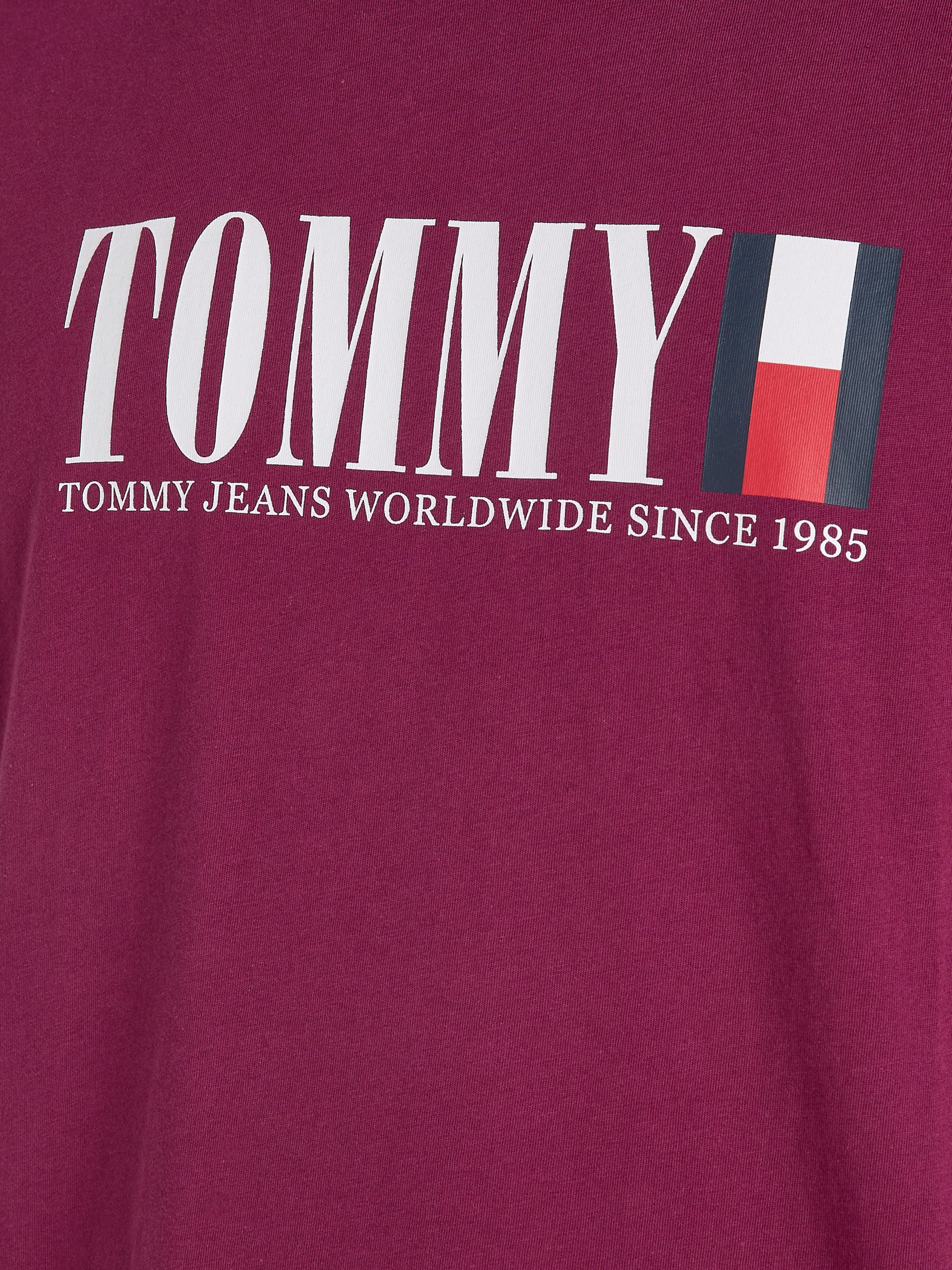 TOMMY JEANS T-shirt TJM REG TOMMY DNA FLAG TEE EXT
