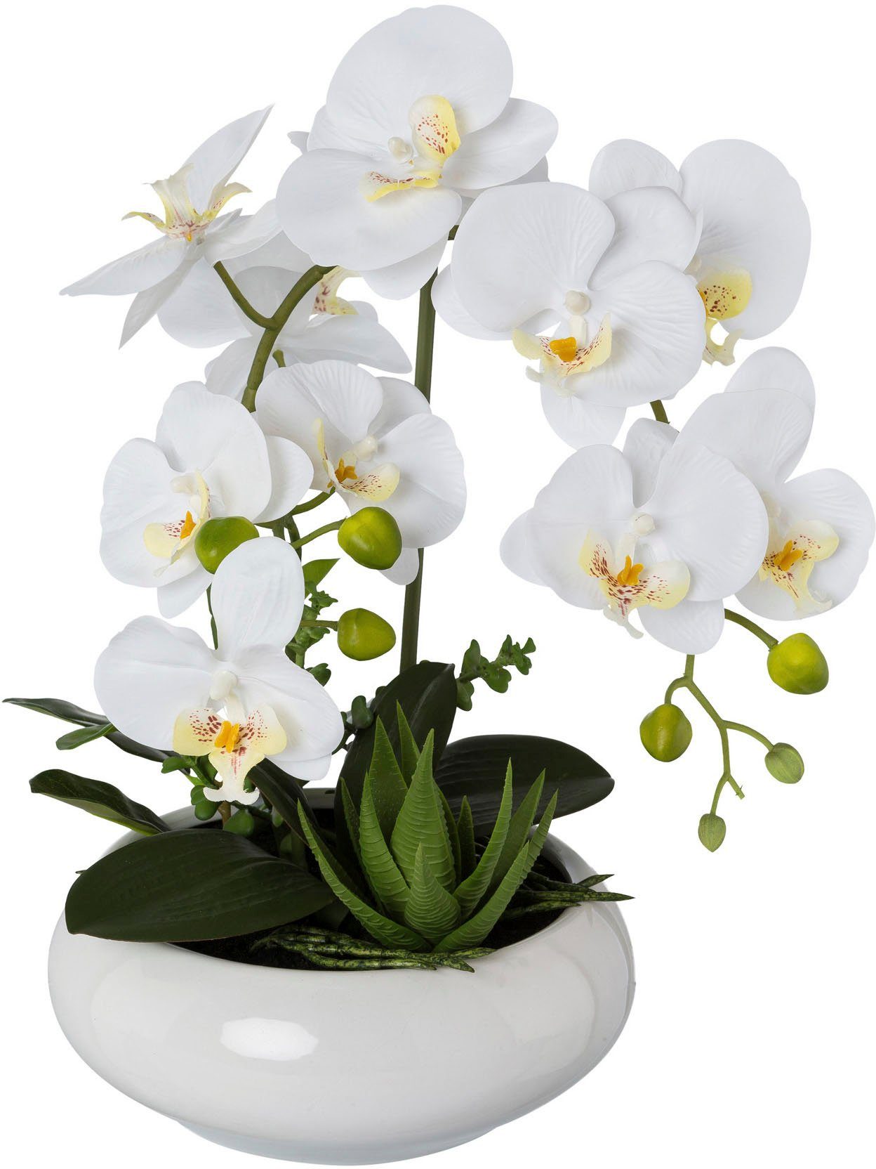 Creativ green Kunstorchidee Vlinderorchidee in keramische kom (1 stuk)