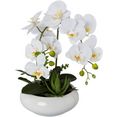 creativ green kunstorchidee vlinderorchidee in keramische kom (1 stuk) wit