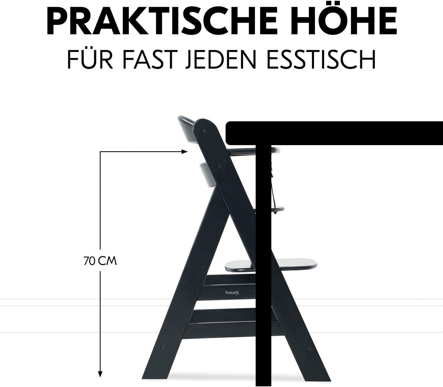Hauck Kinderstoel Alpha+, Black FSC®- beschermt bos - wereldwijd