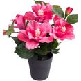botanic-haus kunstbloem hibiscus in pot (1 stuk) roze