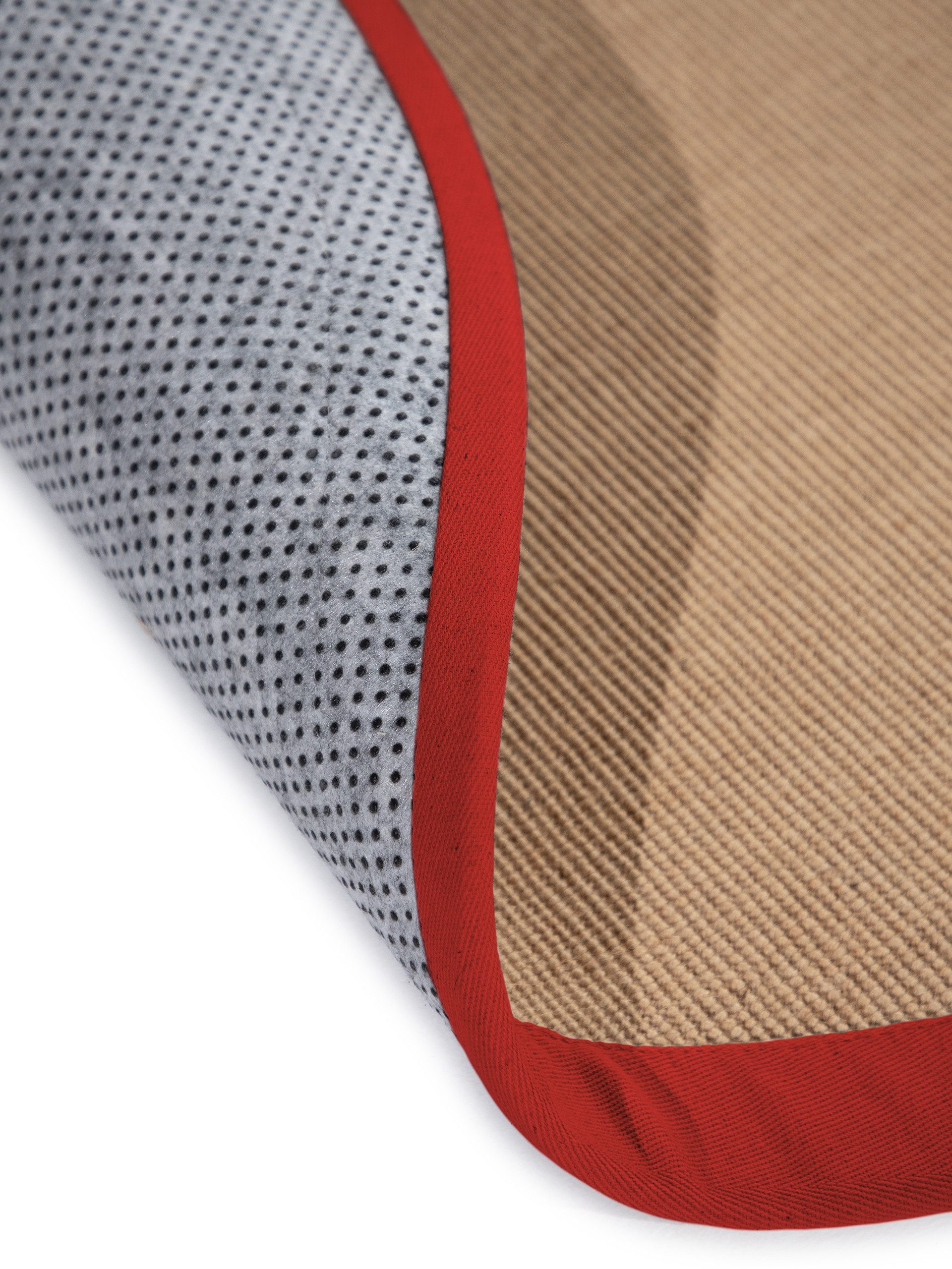 carpetfine Sisalkleed Sisal met gekleurd randdessin, antislip achterzijde