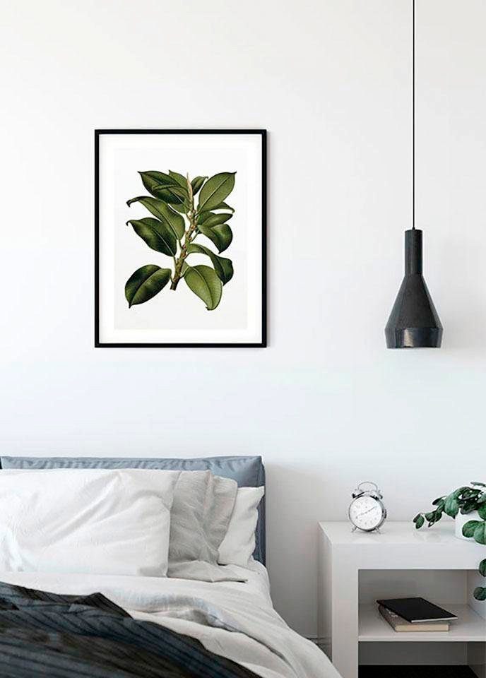Komar Wanddecoratie Elastica Tree Wanddecoratie - zonder lijst (1 stuk)