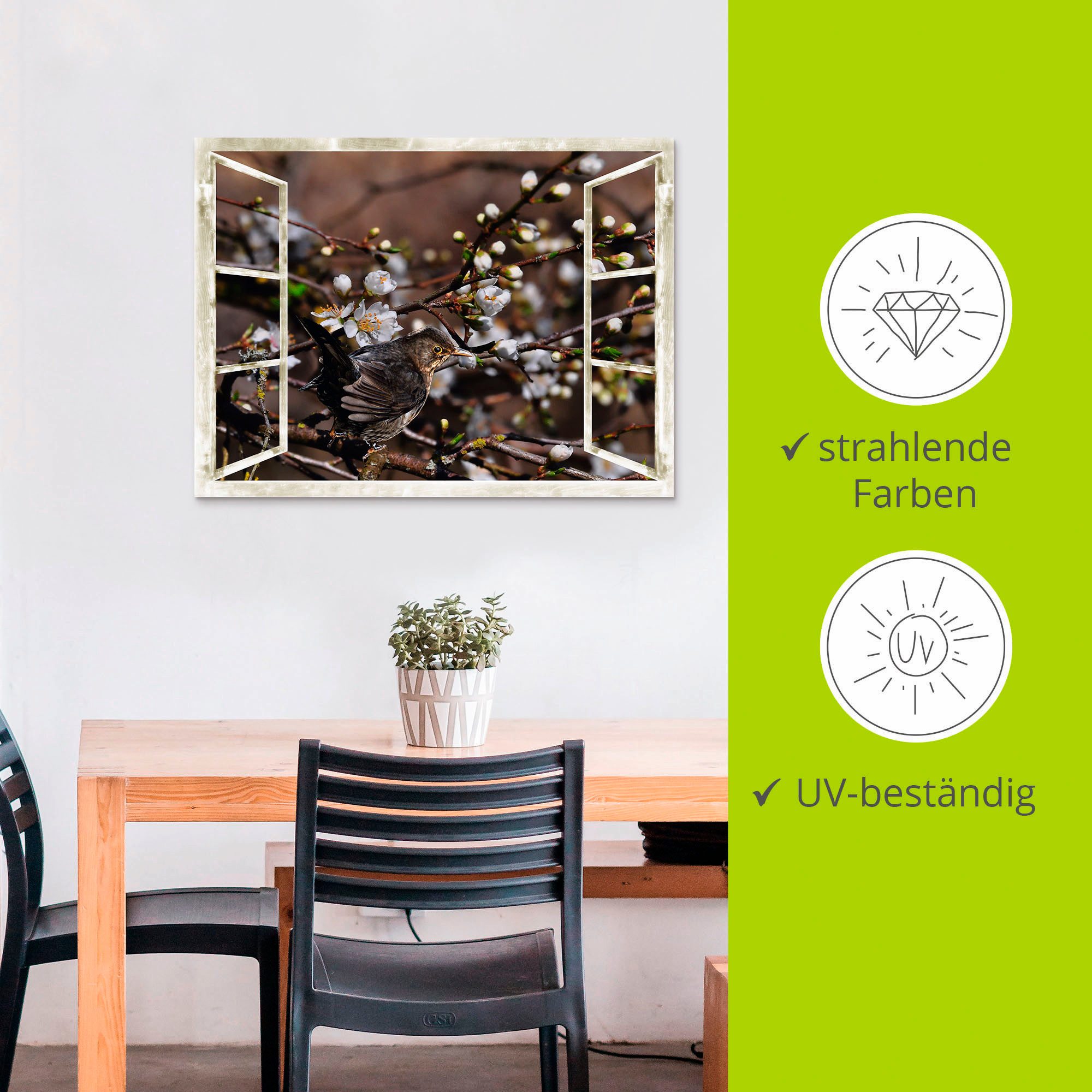 Artland Artprint Blik uit het venster - kersenbloesem met merel als artprint van aluminium, artprint voor buiten, artprint op linnen in verschillende maten