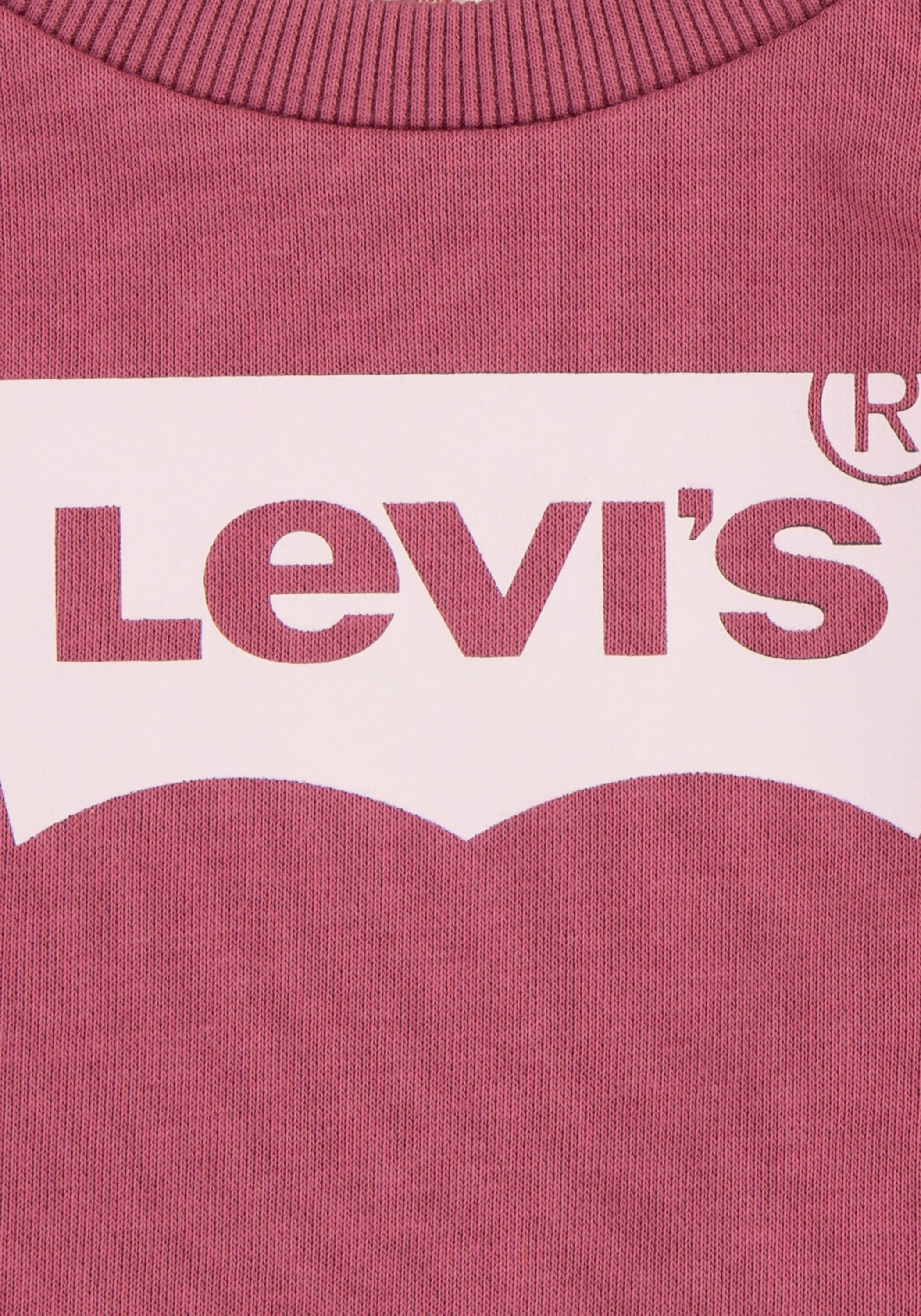 Levi's Kidswear Sweatshirt BATWING CREWNECK SWEATSHIRT