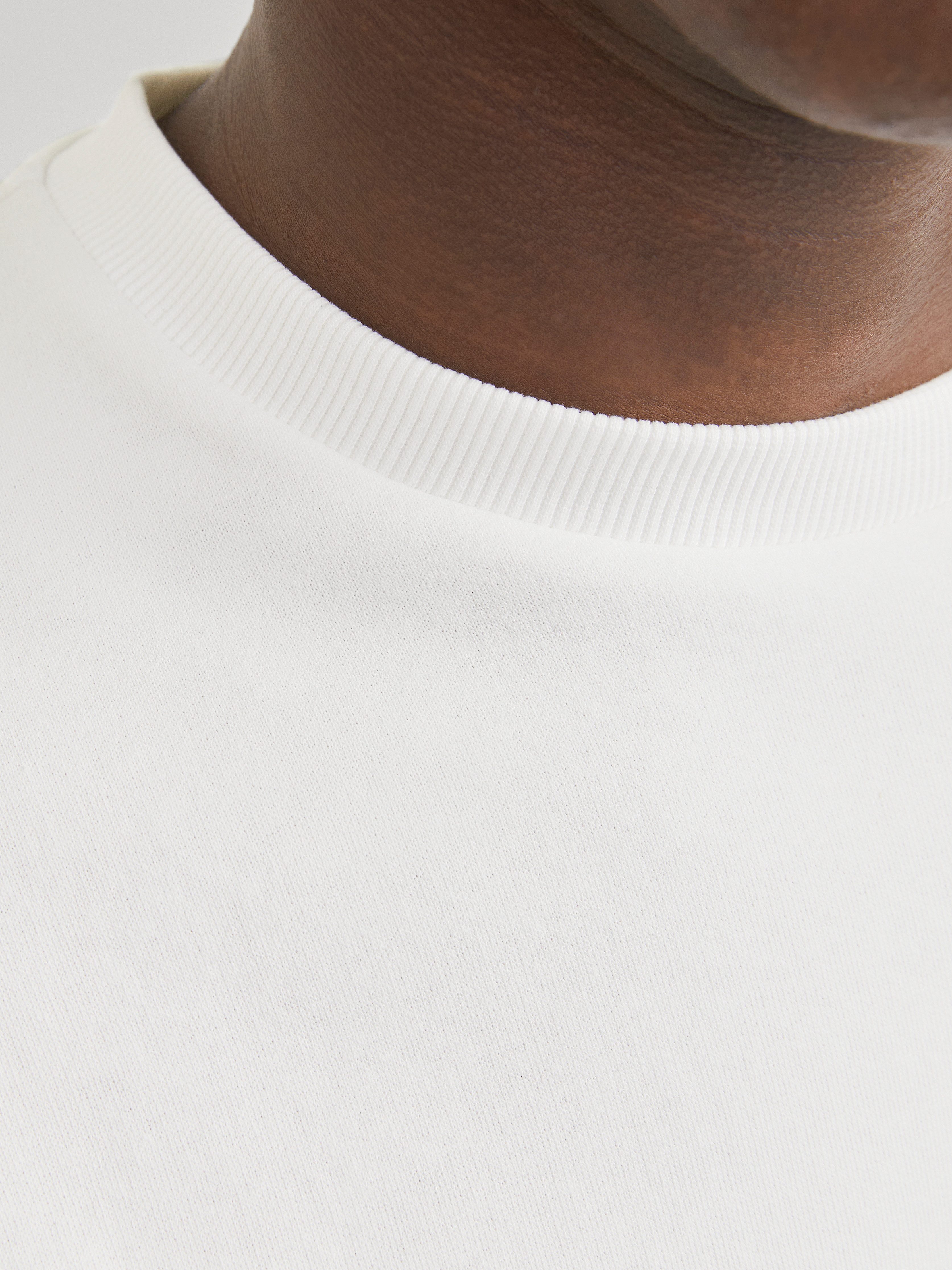 Jack & Jones Sweatshirt JJEBRADLEY SWEAT CREW NOOS