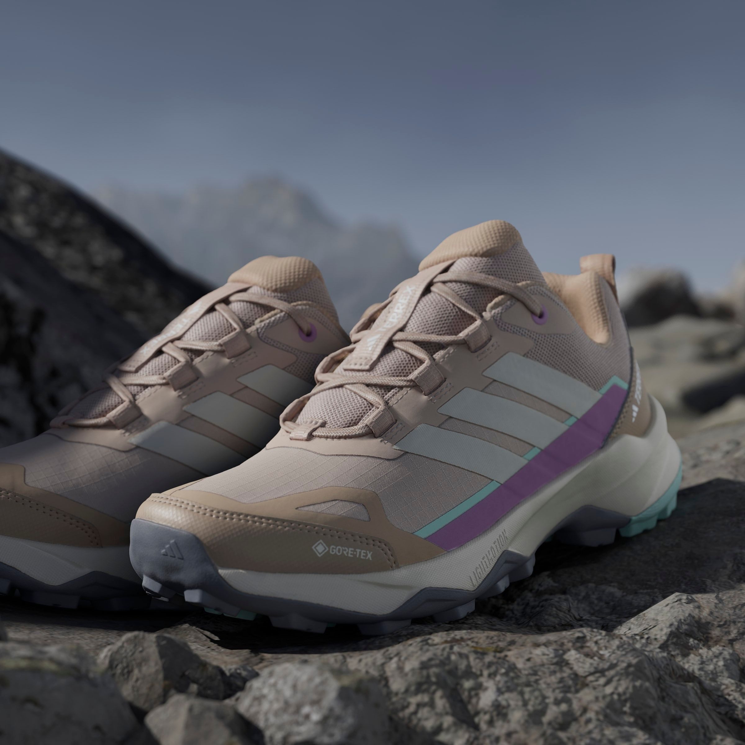 adidas TERREX Wandelschoenen TERREX SKYCHASER AX5 GORE-TEX
