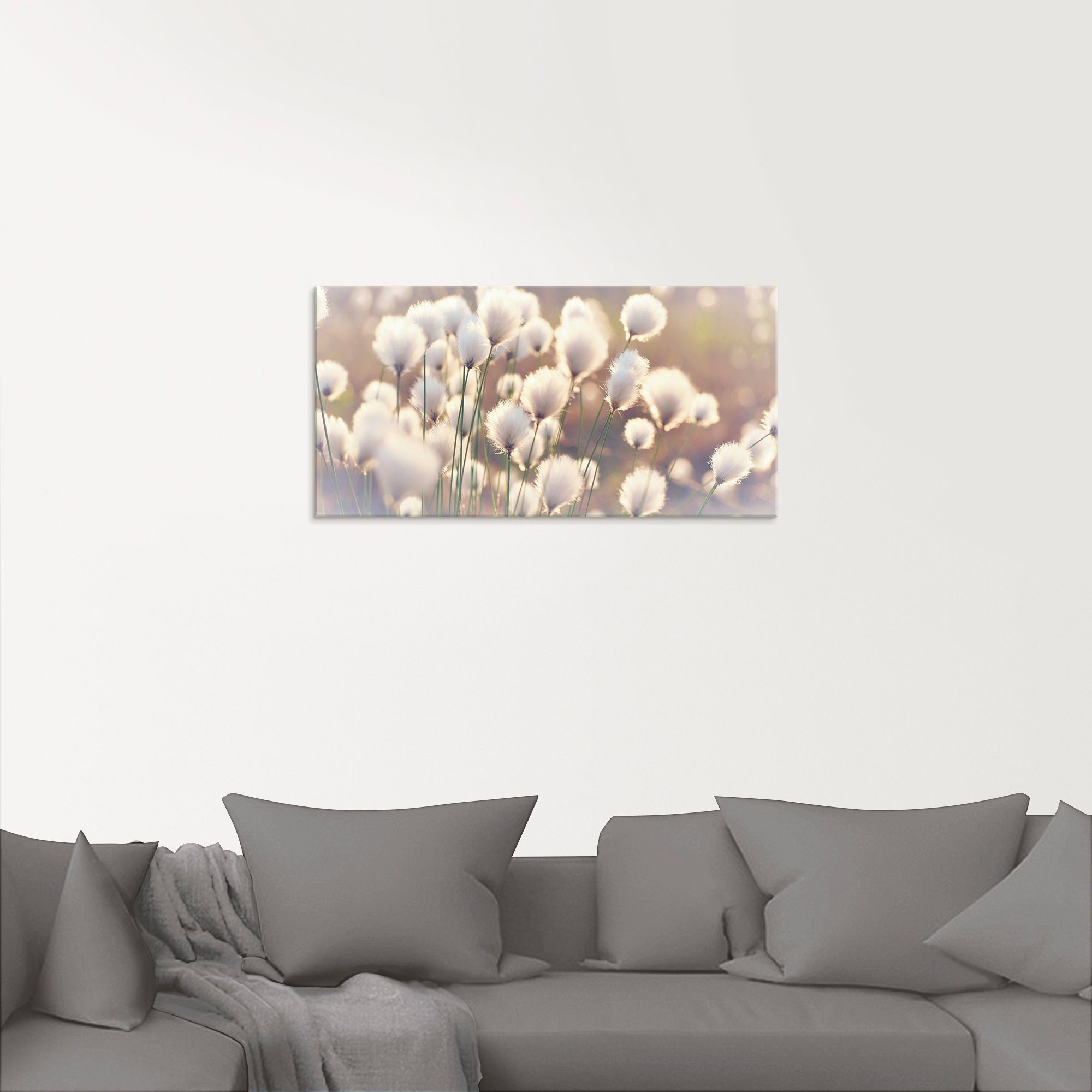 Artland Print op glas Wolgrasmagie in het veen