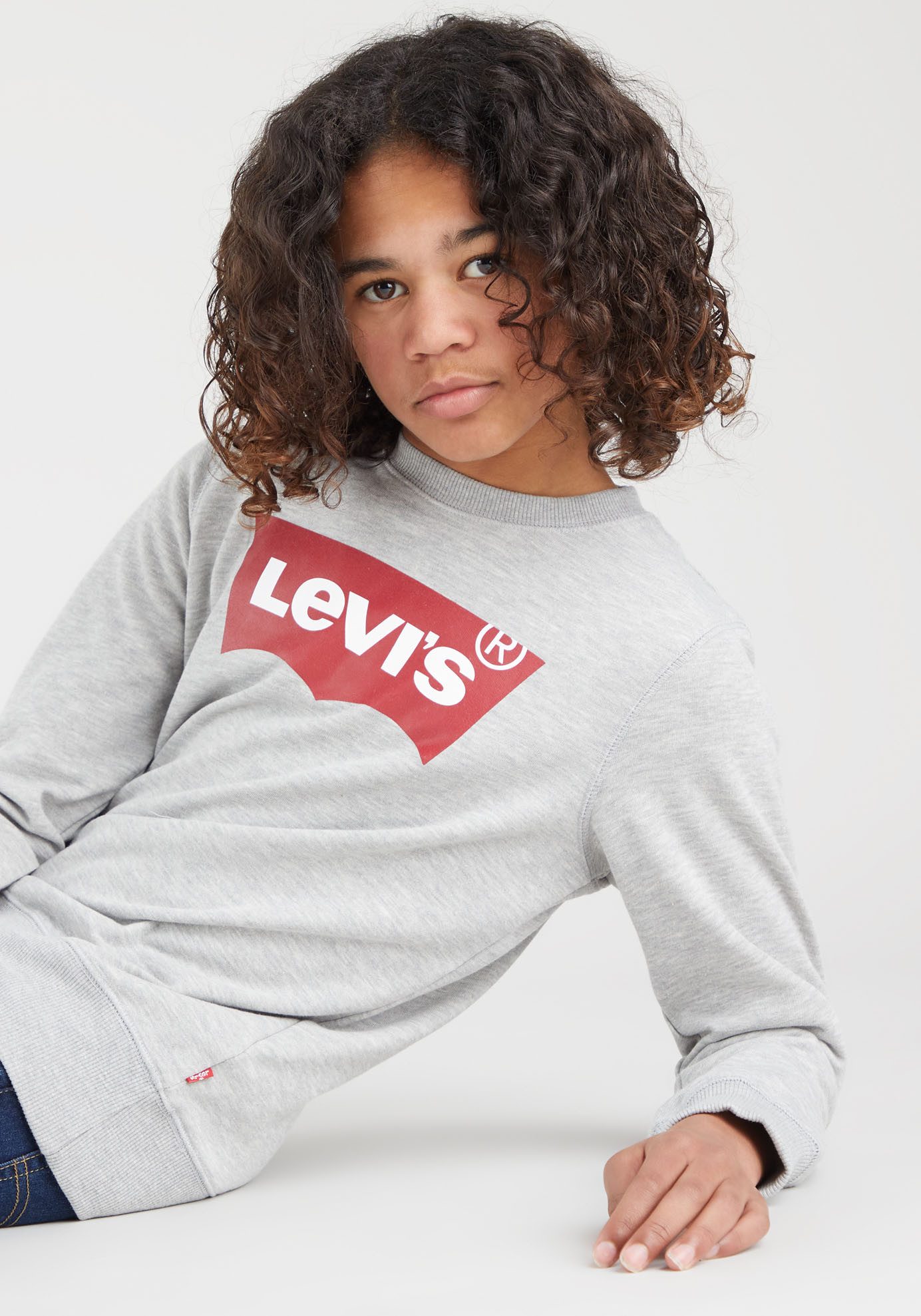 Levi's Kidswear Sweatshirt LVB LVB FRENCH TERRY BATWING