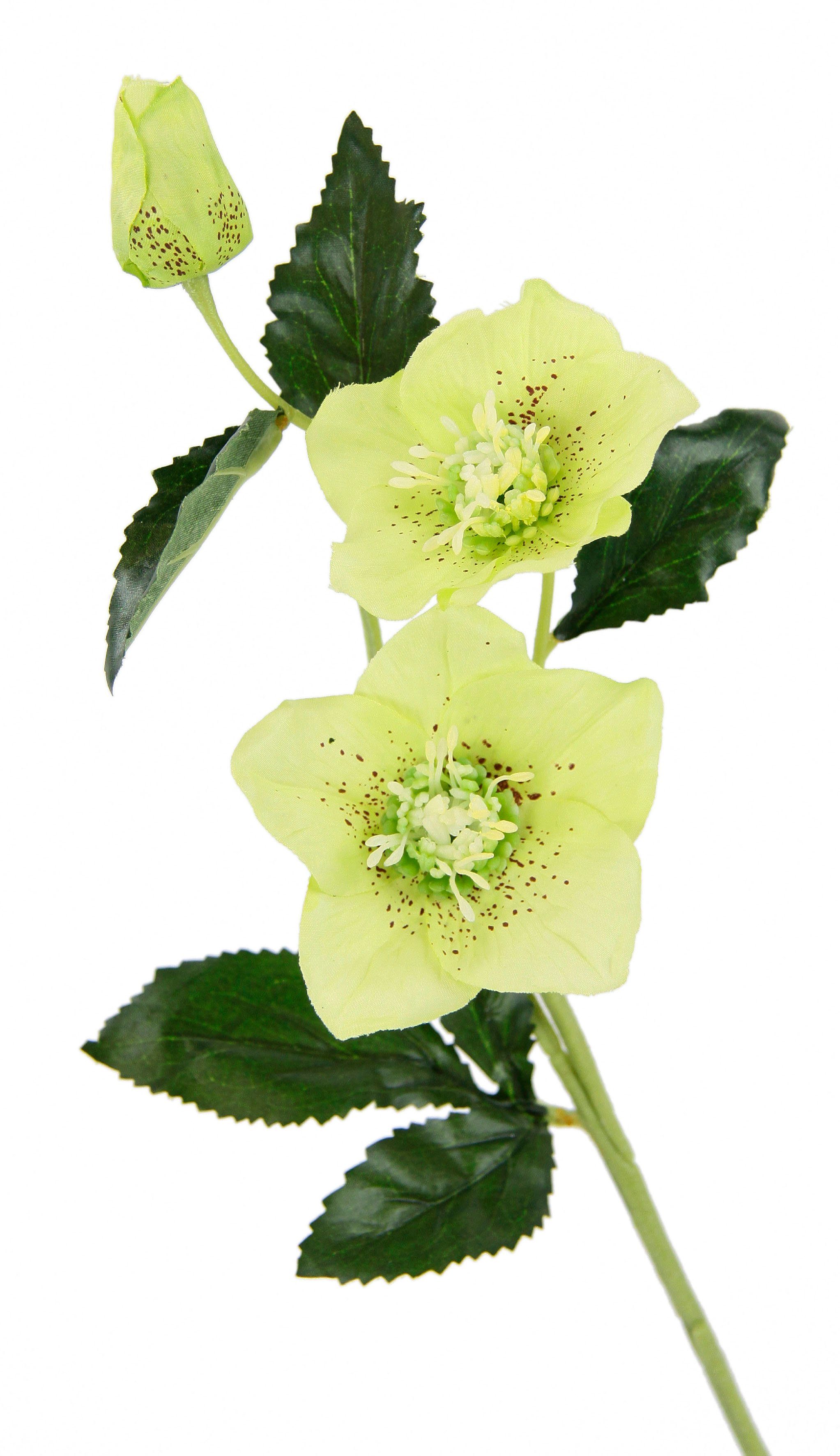 I.GE.A. Kunstbloem Kerstroos Kunstmatige zijden bloemen, 5-delige set (5 stuks)
