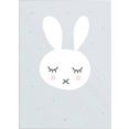 reinders! artprint slim frame white 50x70 sleeping bunny blauw