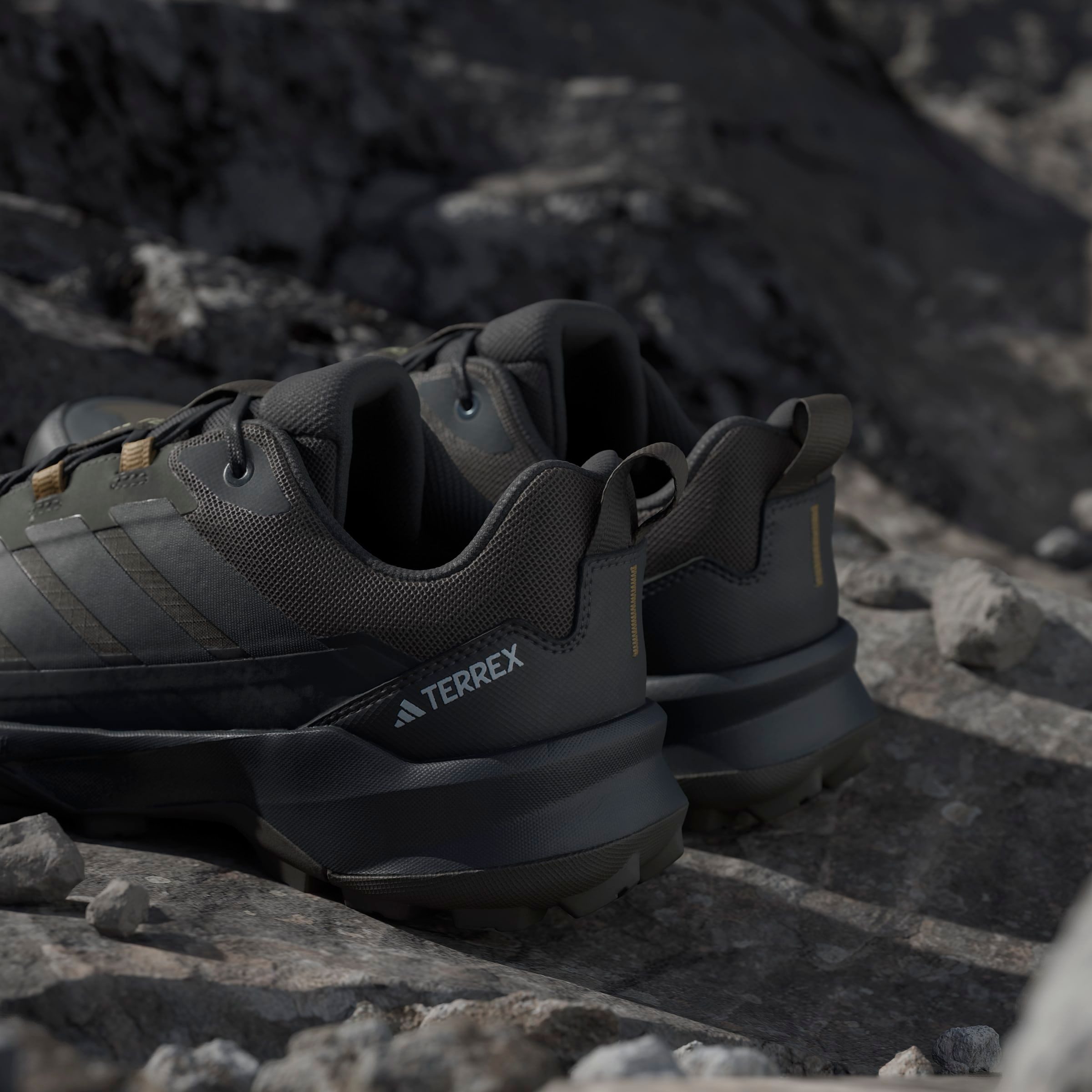 adidas TERREX Wandelschoenen TERREX SKYCHASER AX5 GORE-TEX E