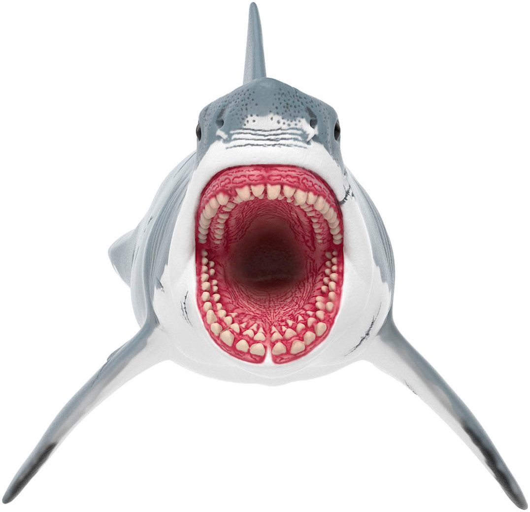 Schleich® Speelfiguur DINOSAURS, Megalodon (15055)