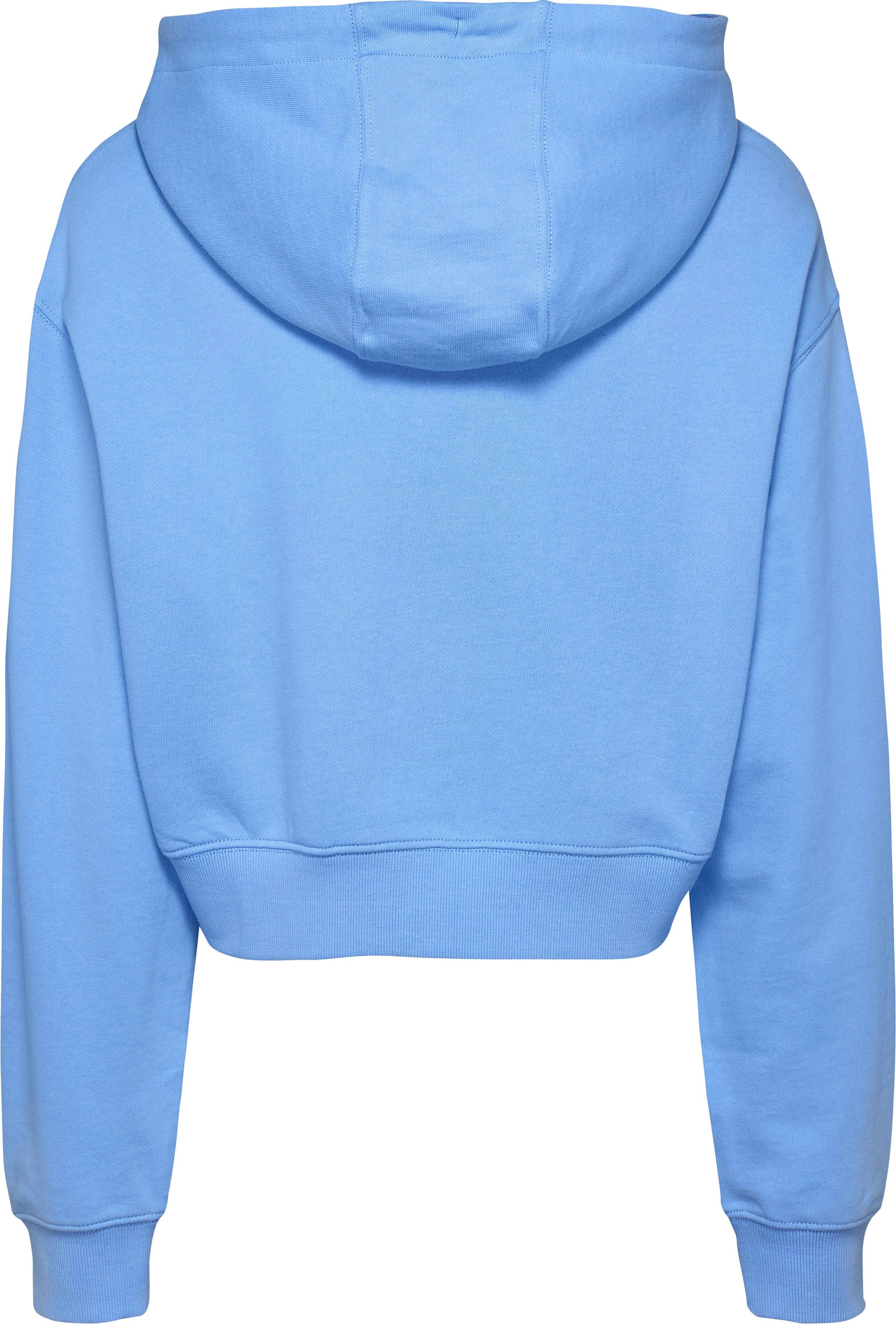 TOMMY JEANS Hoodie TJW RLX CRP SCRIPT HOODIE EXT