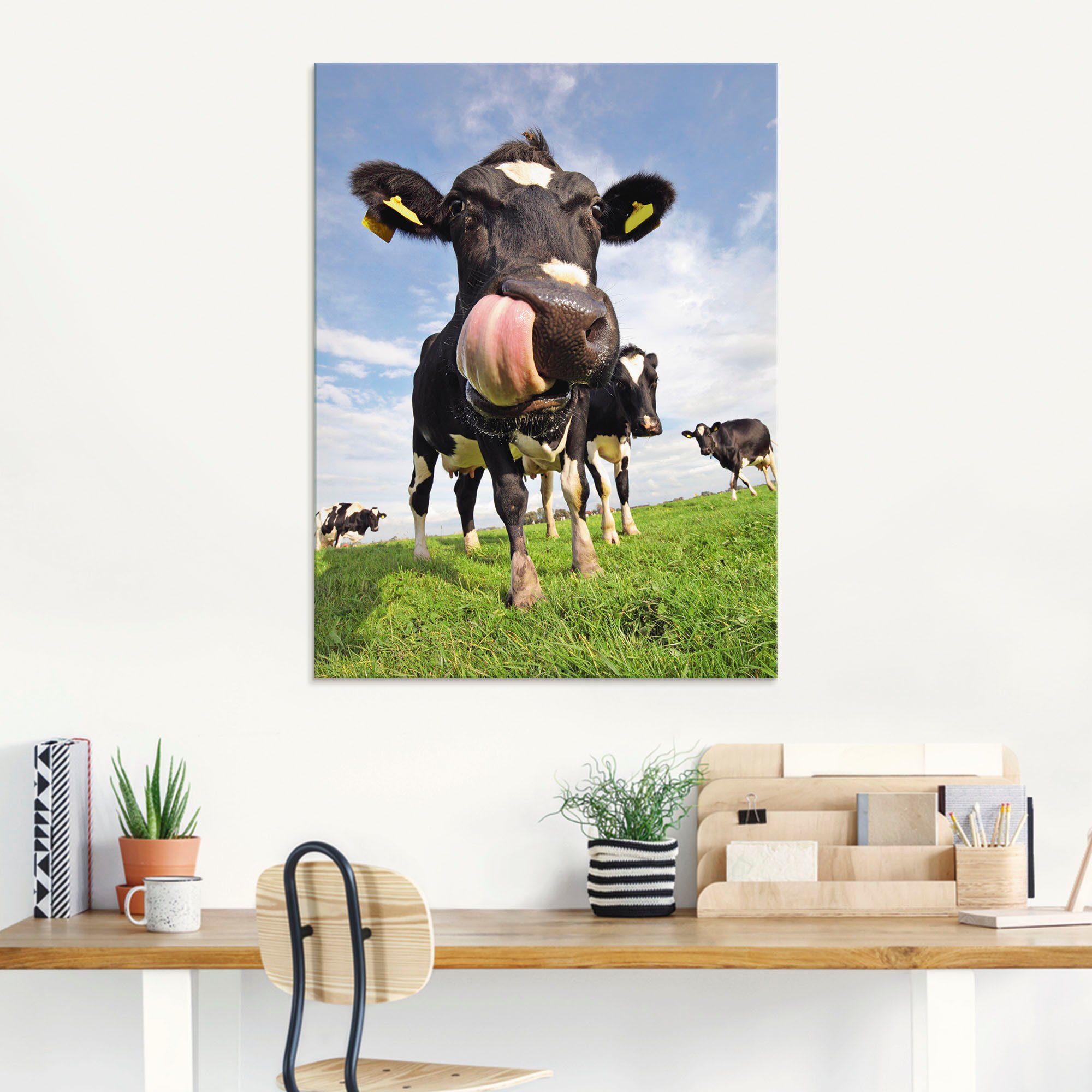 Artland Print op glas Holstein-koe met enorme tong
