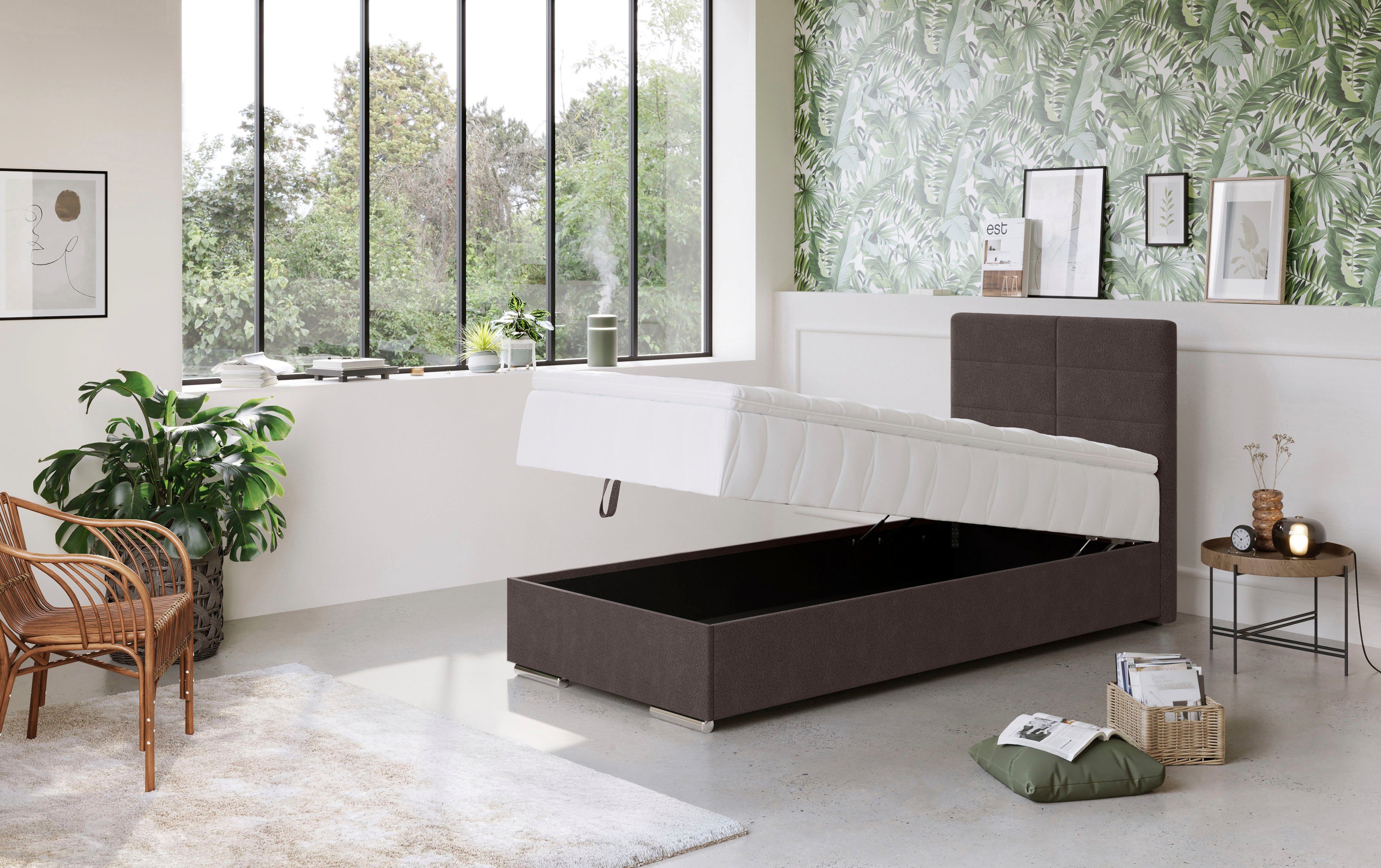 COTTA Boxspring Tom met bedkist, topmatras en sierkussen