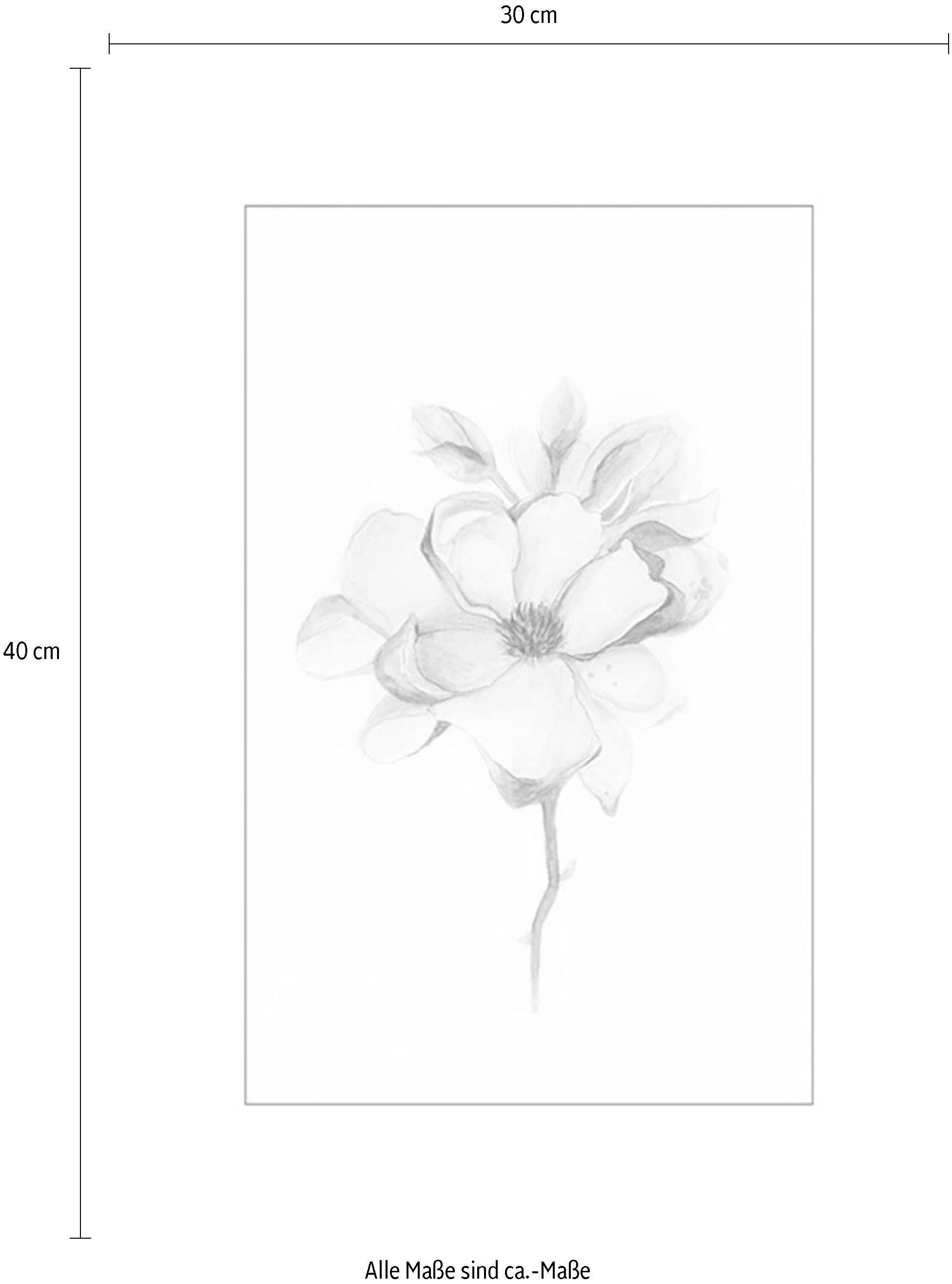 Komar Wanddecoratie Magnolia Blossom Wanddecoratie - zonder lijst (1 stuk)