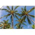 artland artprint palmbomen op het strand in vele afmetingen  productsoorten - artprint van aluminium - artprint voor buiten, artprint op linnen, poster, muursticker - wandfolie ook geschikt voor de badkamer (1 stuk) groen