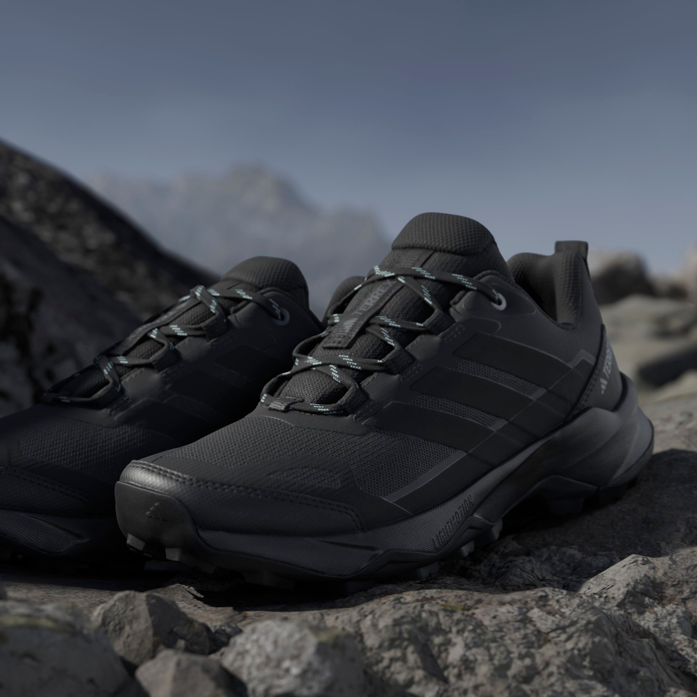 adidas TERREX Wandelschoenen TERREX SKYCHASER AX5