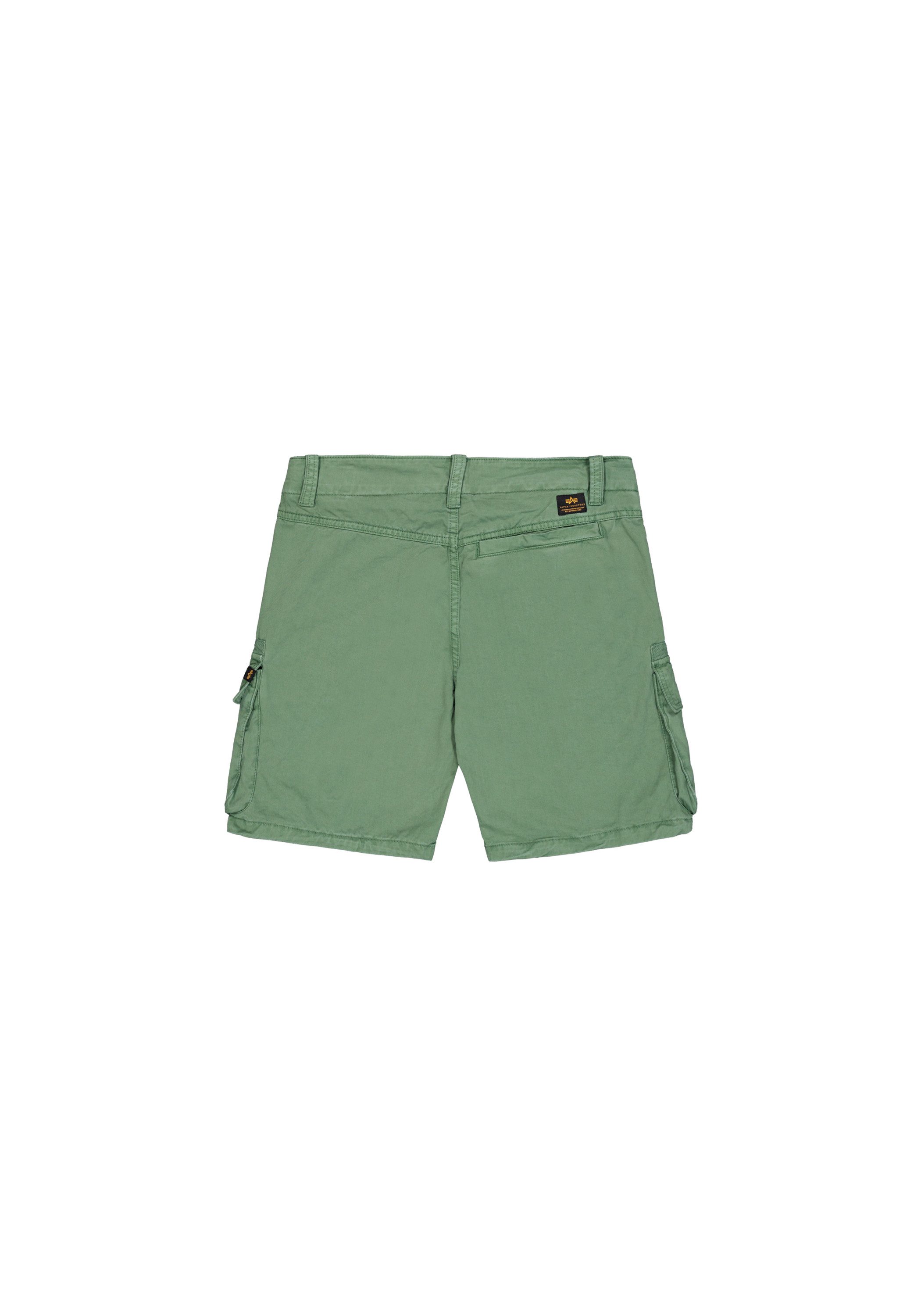 Alpha Industries Short Flying Tigers Shorts