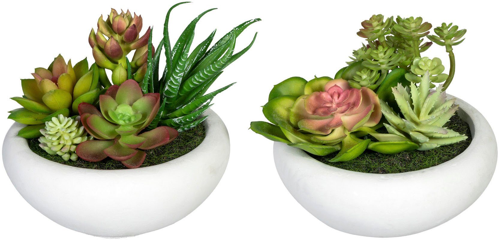 Creativ green Kunst-potplanten Vetplanten-arrangement in een cementpot, set van 2 (2 stuks)