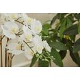 guido maria kretschmer homeliving kunstorchidee couturier kunstplant, in een pot, keramiekschaal wit