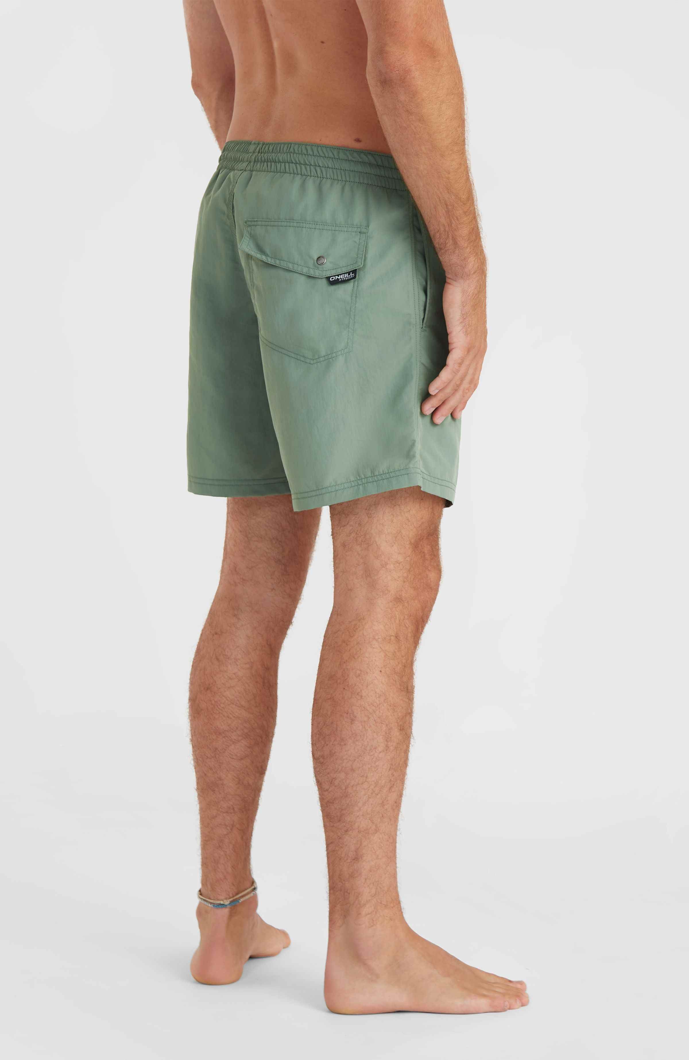 O'Neill Zwemshort VERT 16'' SWIM SHORTS