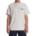 dc shoes t-shirt double or nothing beige