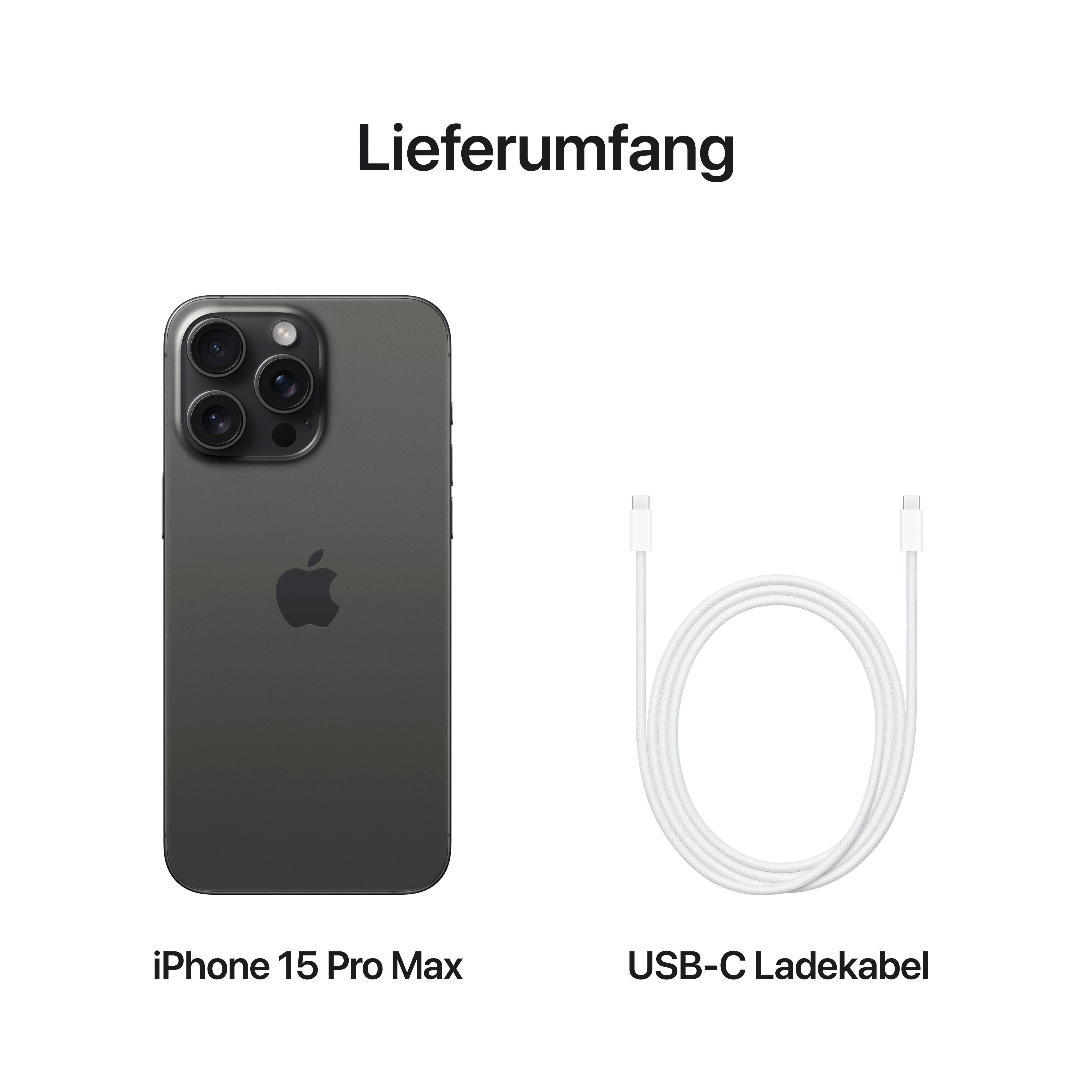 Apple Smartphone iPhone 15 Pro Max, 256 GB