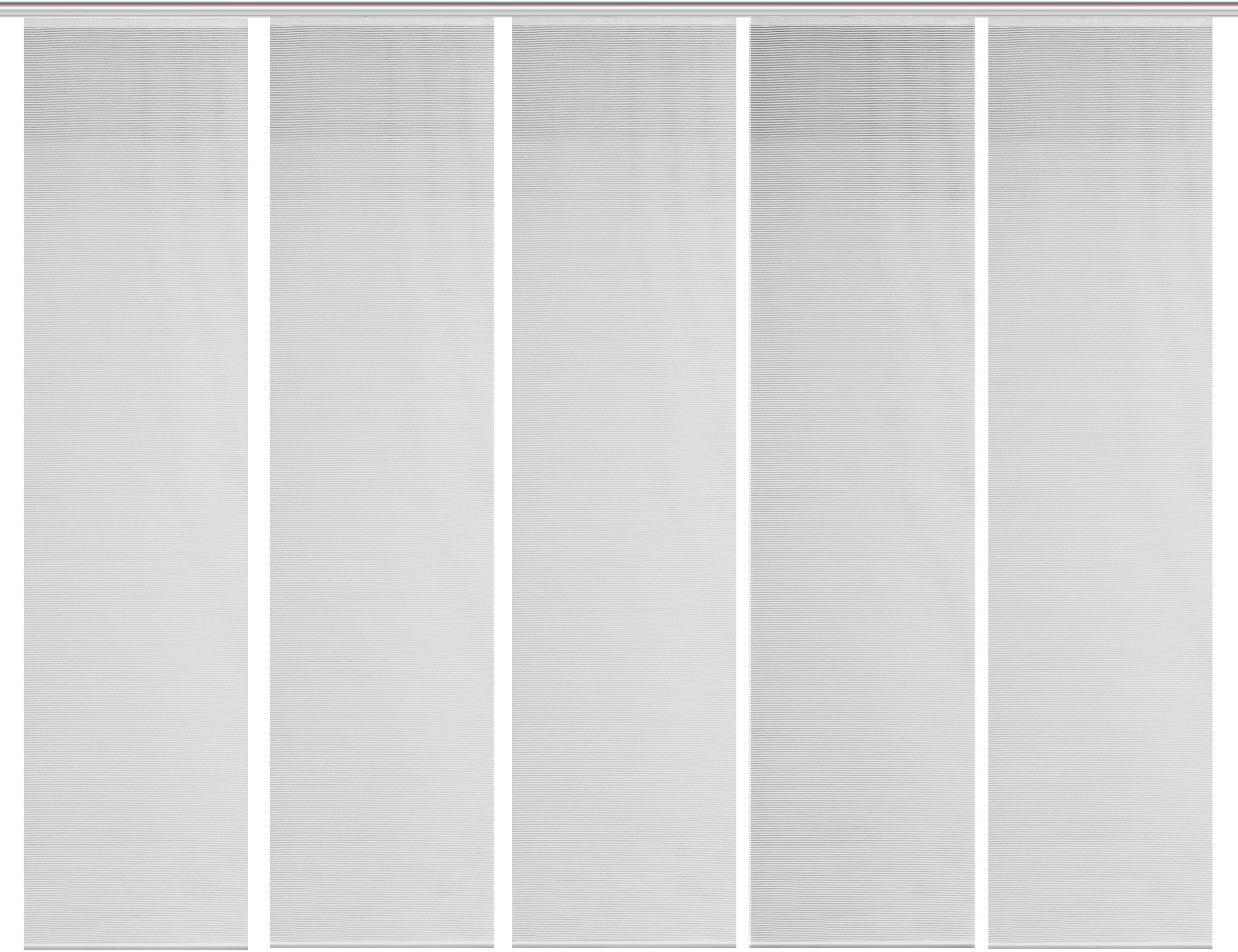 Vision S Paneelgordijn SET VAN 5 ROM HxB: 260x60, paneelgordijn set van 5 stuks uni (5 stuks)