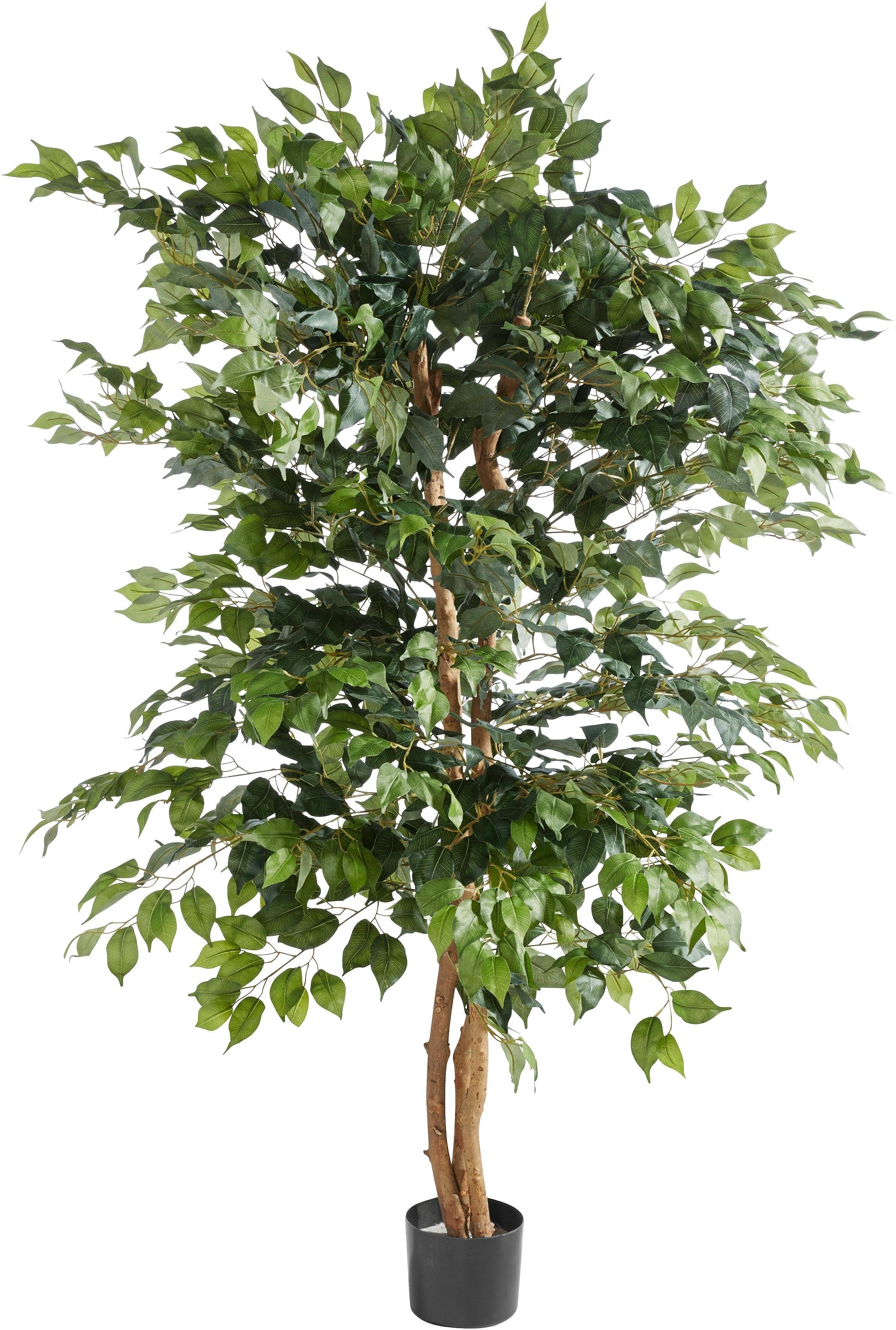 Creativ green Kunstplant Ficus Benjamini (1 stuk)