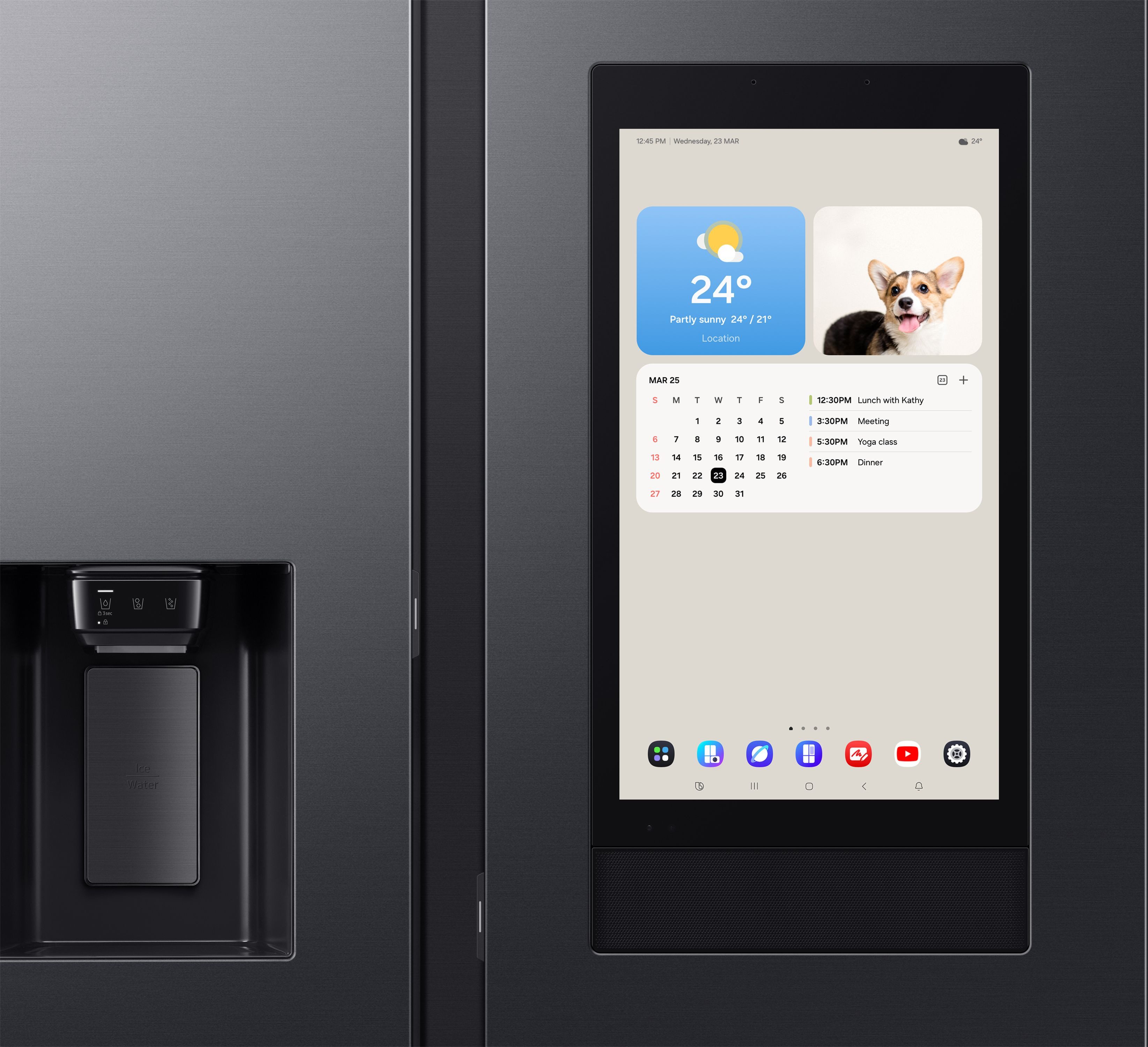 Samsung Side-by-side RS90F67BE