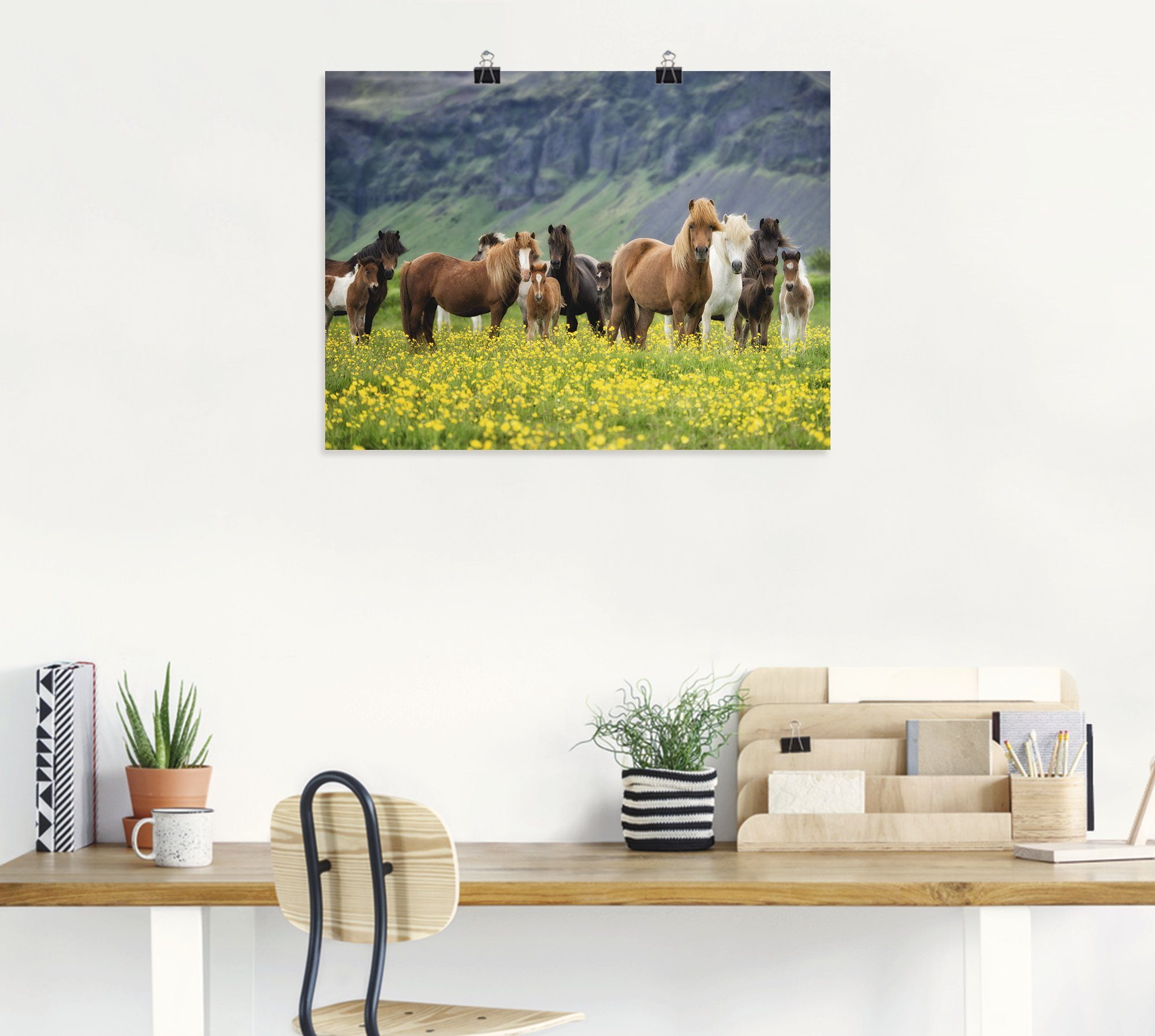 Artland Artprint IJslandse paarden VII als artprint op linnen, poster, muursticker in verschillende maten
