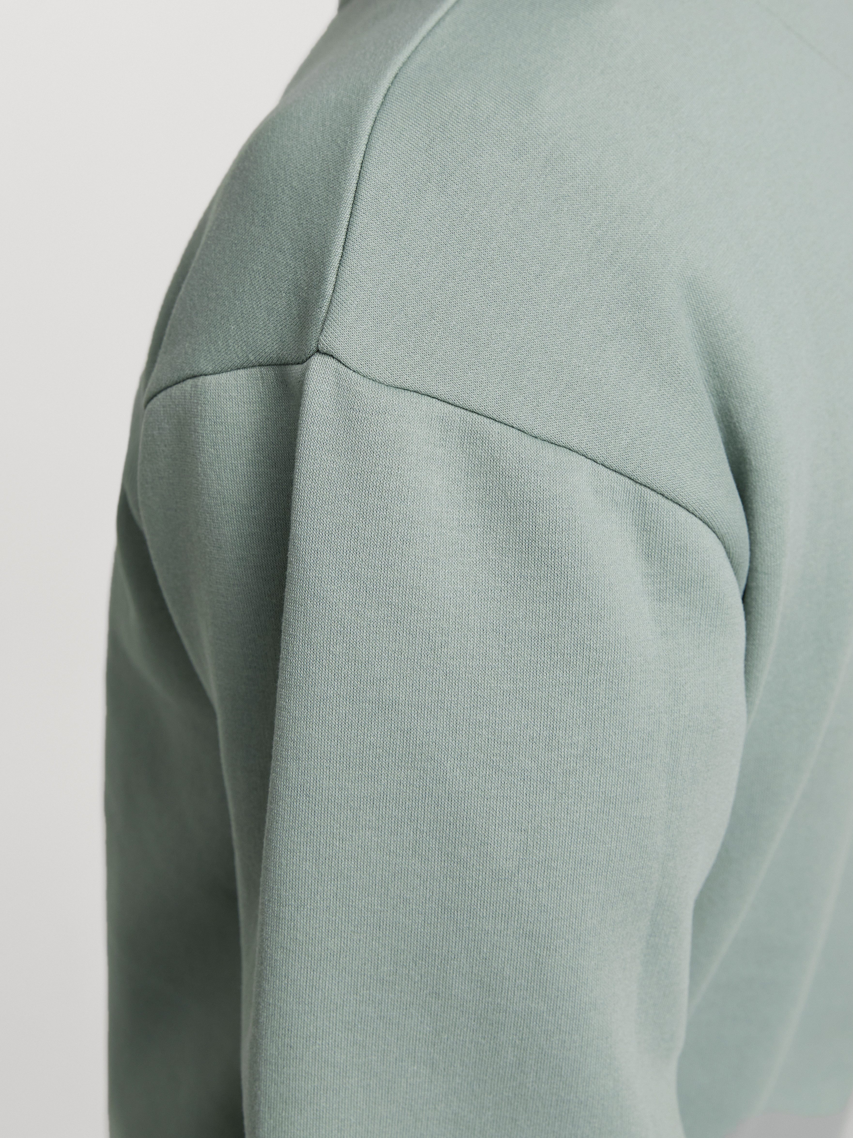 Jack & Jones Sweatshirt JJEBRADLEY SWEAT CREW NOOS