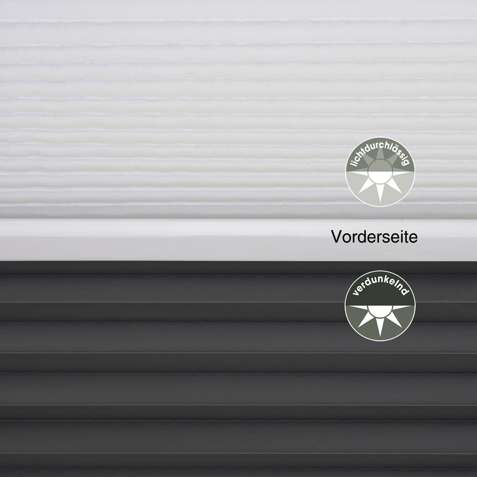 Liedeco Plissé Day & Night Geplooide jaloezieën (1 stuk)