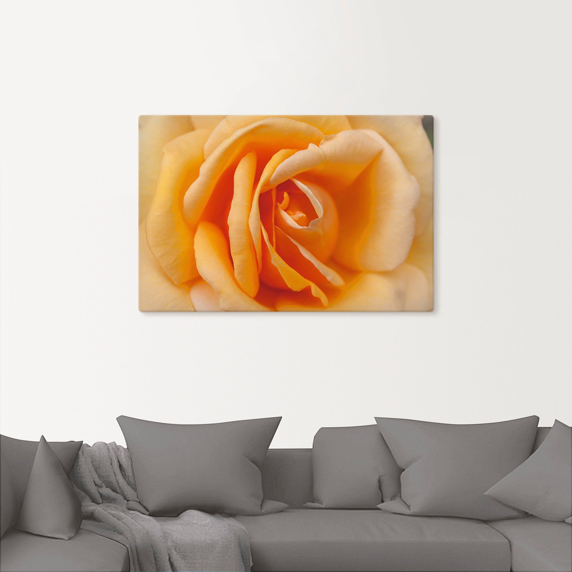 Artland Artprint Fijne roos in oranje als artprint op linnen, poster in verschillende formaten maten